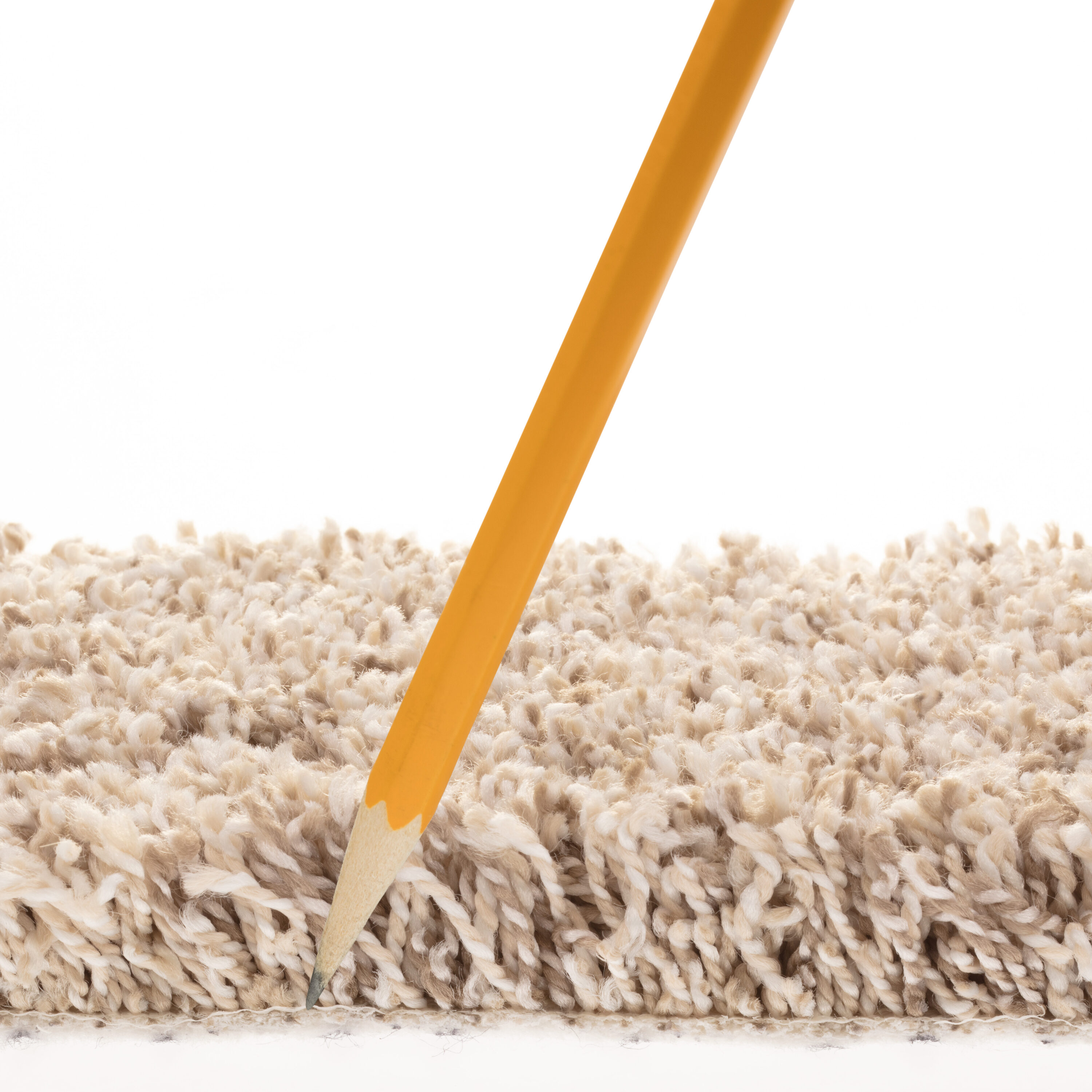 STAINMASTER 7L897 - 109 - SAMP Carpet-Samples - View #7