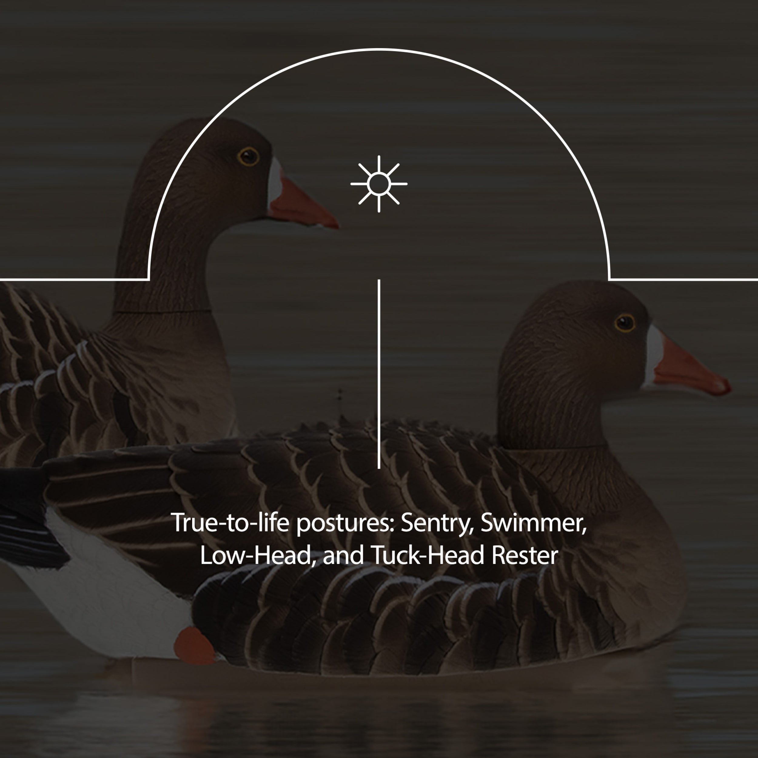  Avian X 399286 Hunting-Equipment - View #4