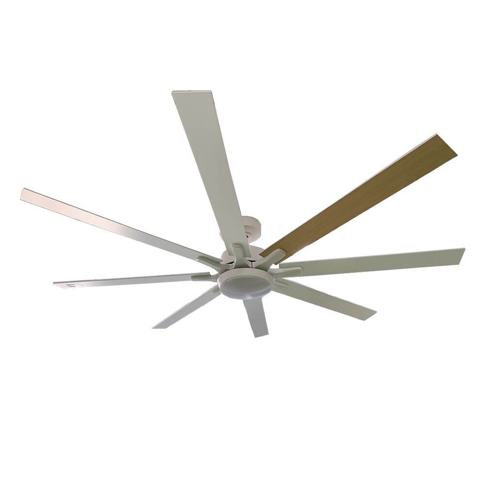 Parrot Uncle F8261WH110V Ceiling-Fans - View #19
