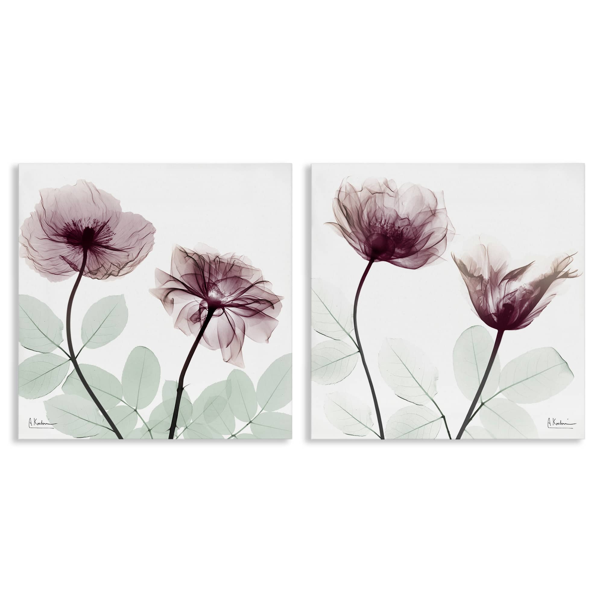 Stupell Industries B2-708-CN-2PC-17X17 Delicate Mauve Flowers 2 Piece Canvas Wall Art Set By Albert Koetsier 17 x 17