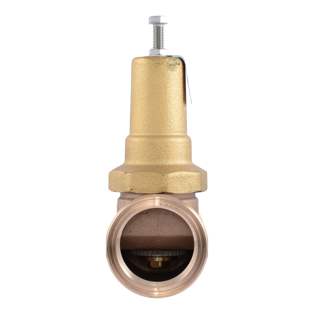 Cash Acme PVA54M-DTH-60 Pressure-Relief-Valves-Regulators - View #2