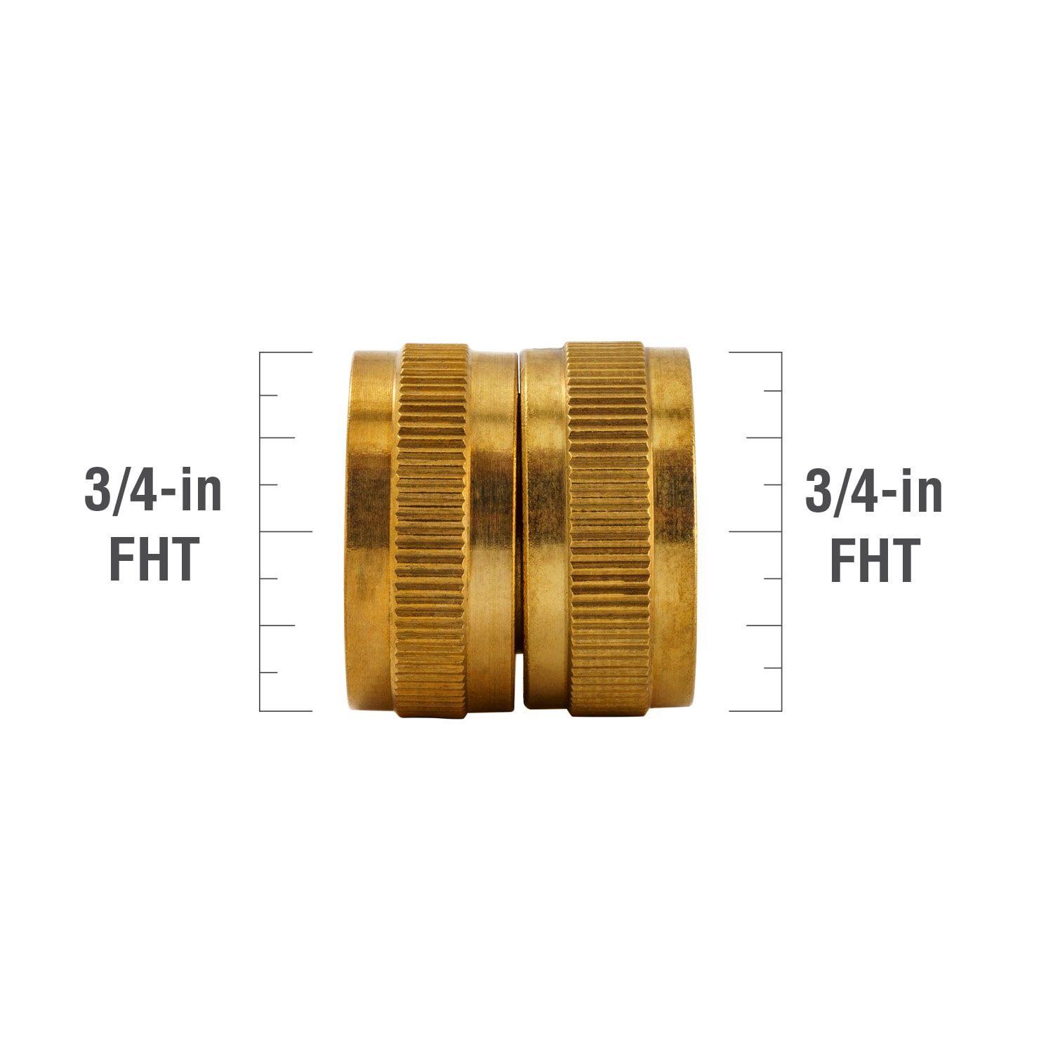 Proline Series 3/4-in x 3/4-in Threaded Female Adapter Fitting in the