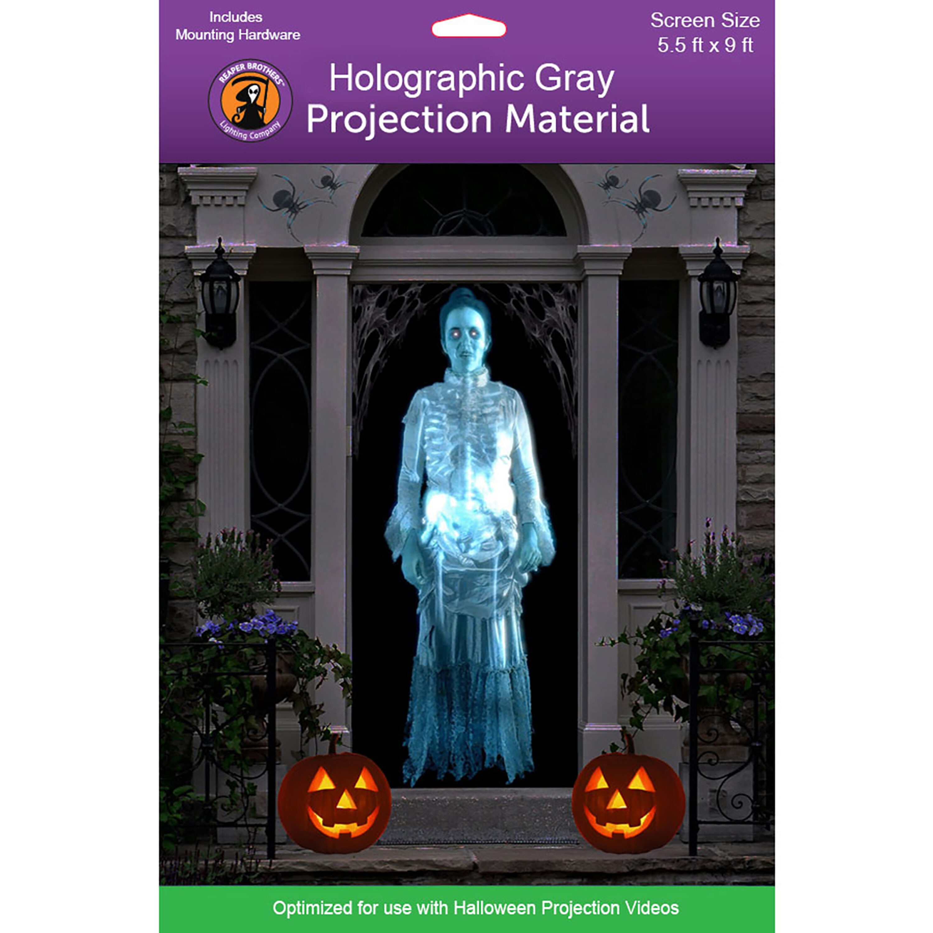 HoliScapes SCREEN-G-5X9 66-Inches L x 0.1-Inches W x 108-Inches H Indoor Movie Screen