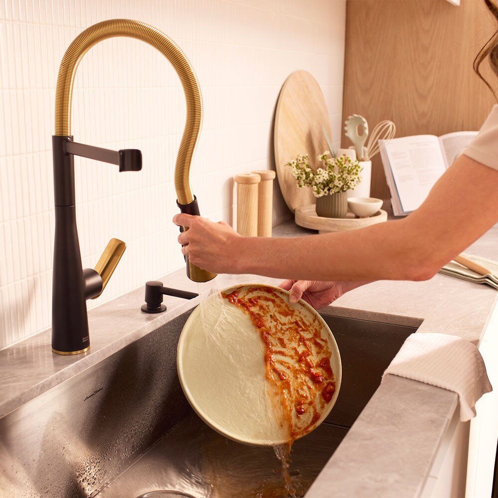 American Standard 1048824240 Kitchen-Faucets - View #9