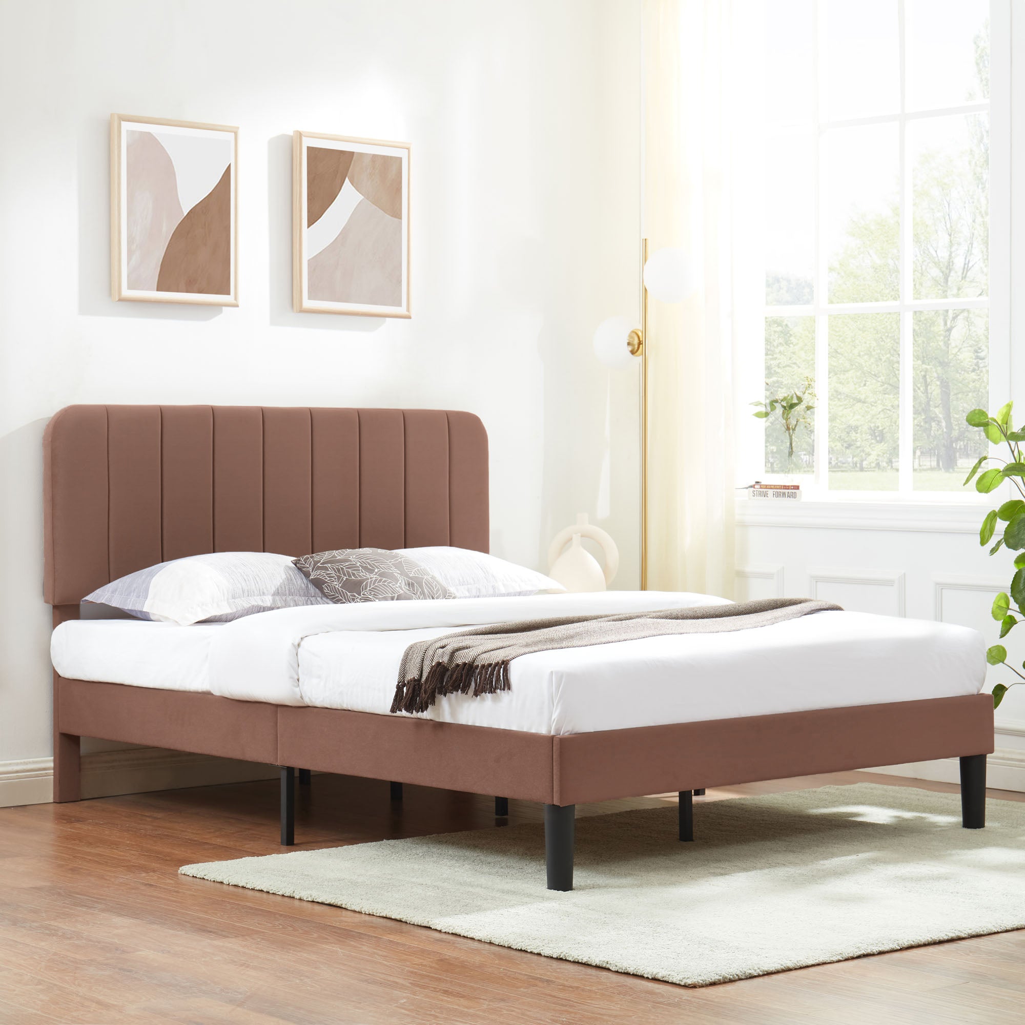 Vecelo LOE-CY-QB01-CFE beds - View #2