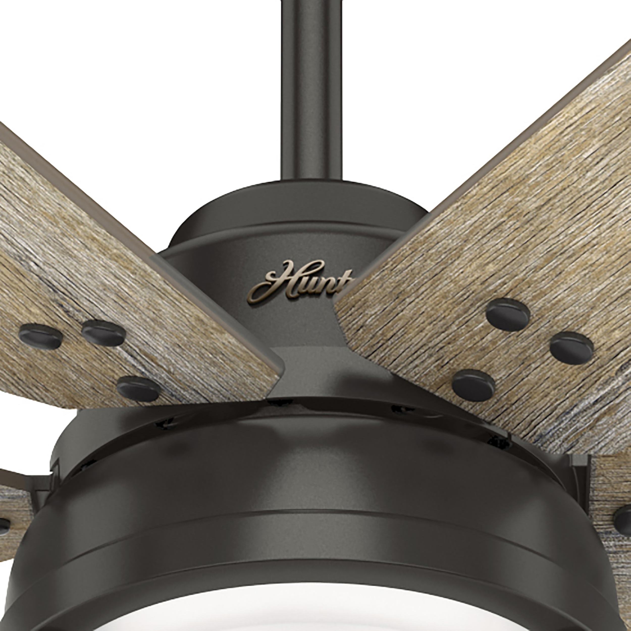 Hunter 51159 Ceiling-Fans - View #14