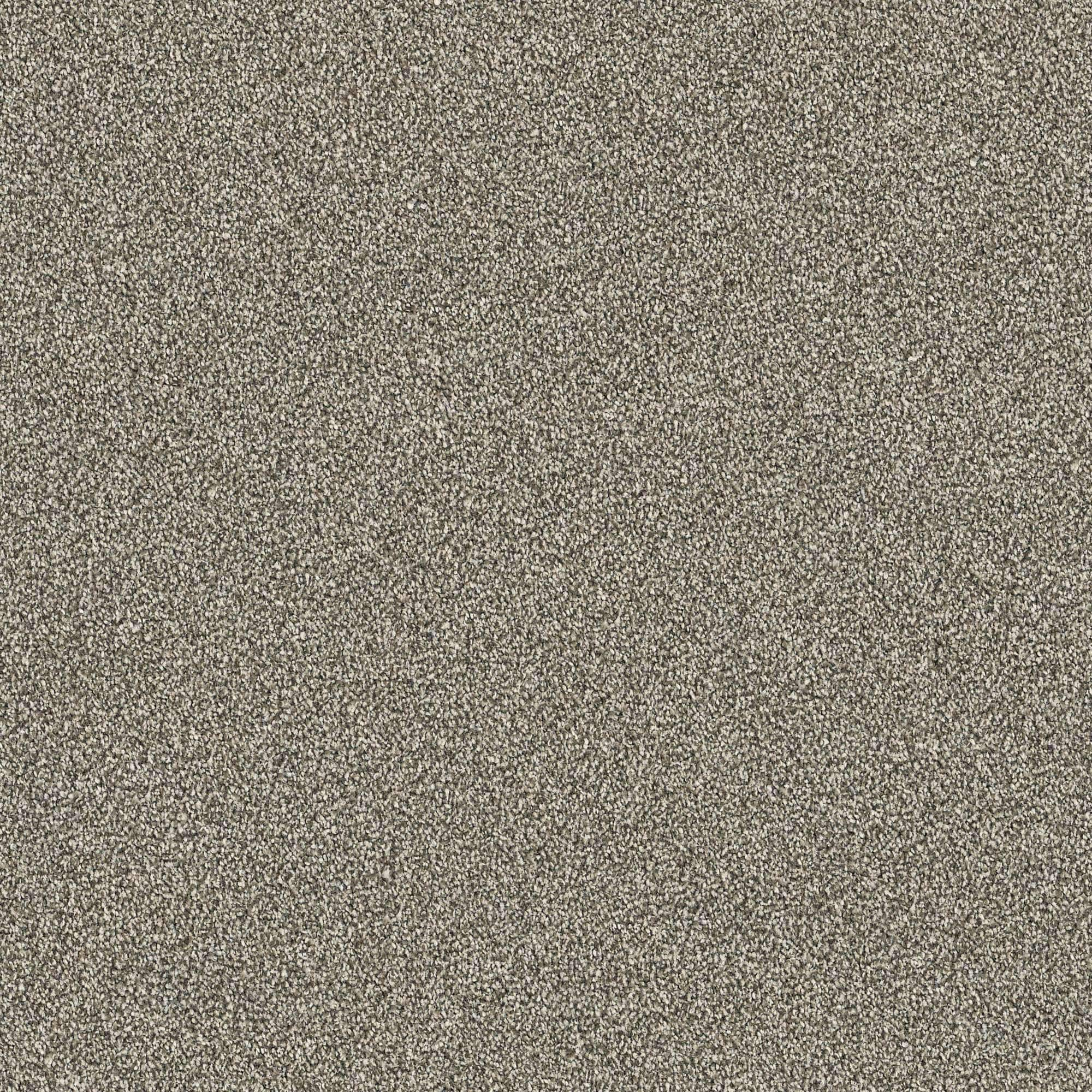 Gray Plush Carpet & Carpet Tile at