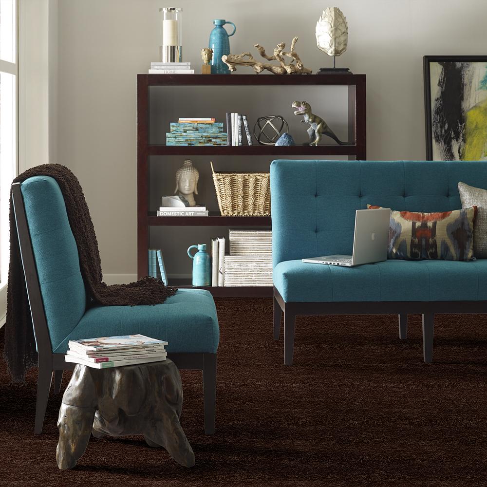 Shaw Workhorse RR Walnut Textured Carpet (Indoor)