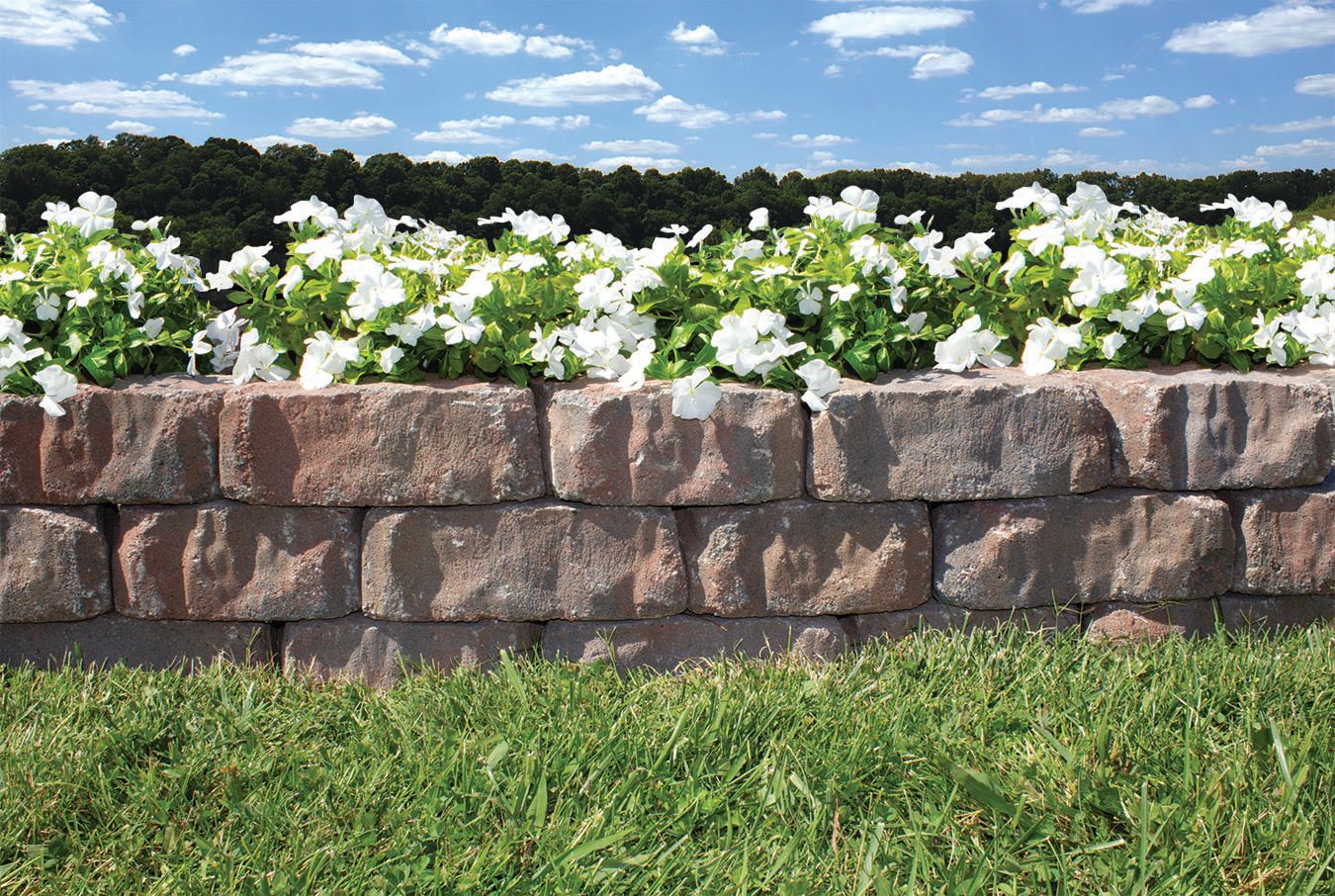  17H07412SS Retaining-Wall-Block - View #4