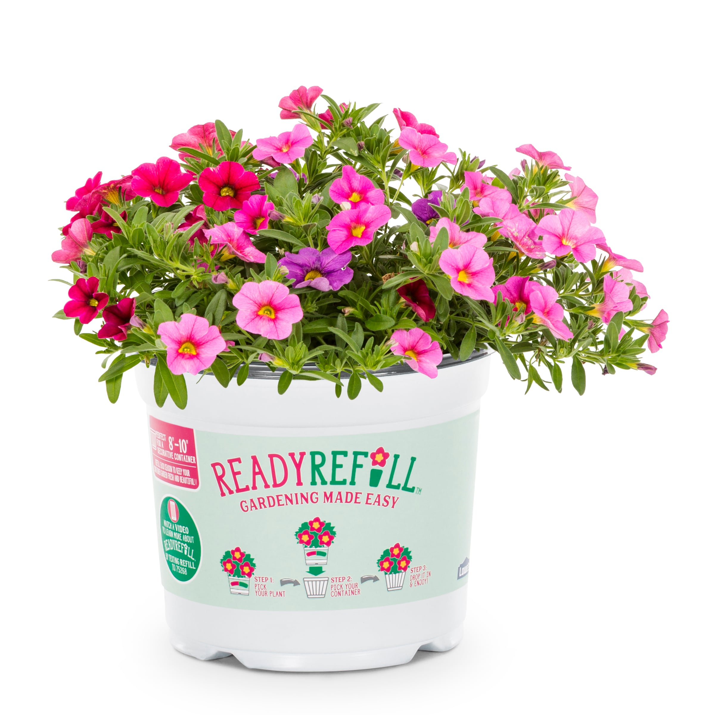 Ready Refill NURSERY Multicolor Mixed Annuals Combinations in 3-Quart Pot