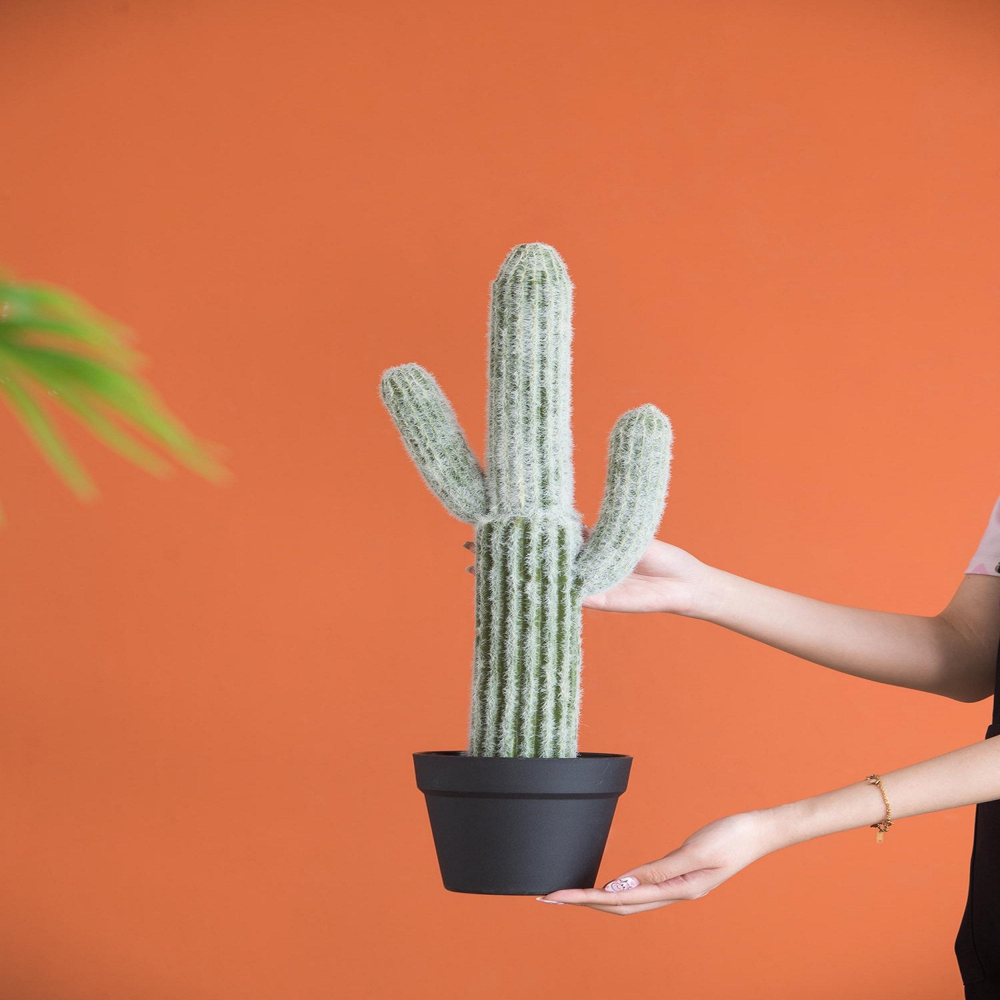 Cactus uses immersive lighting gym installations to boost workout