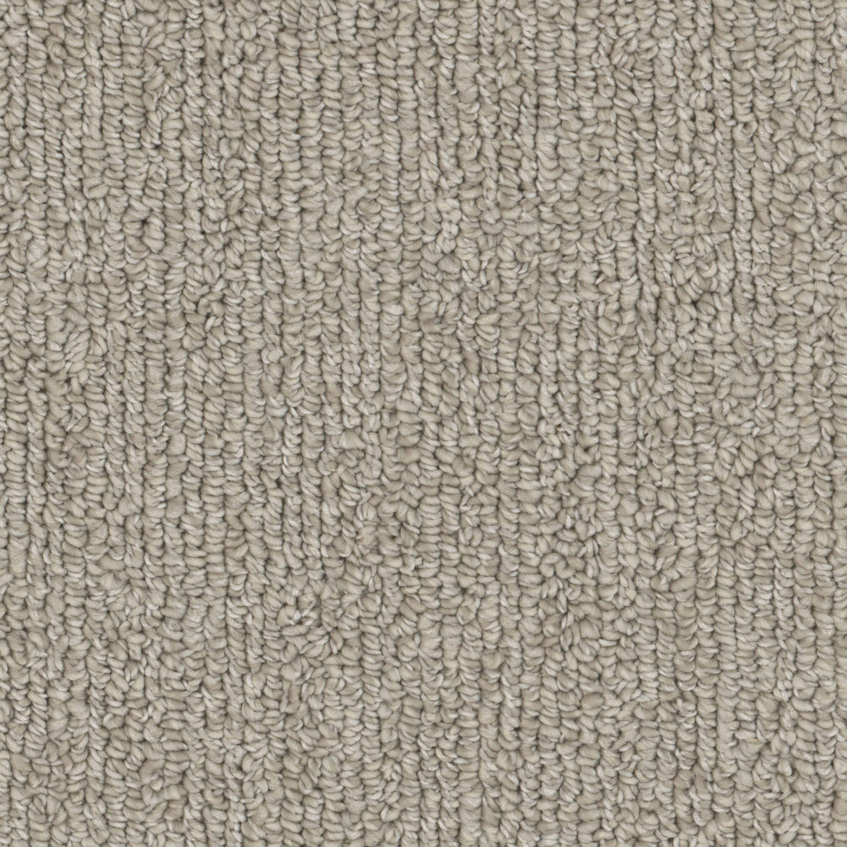 STAINMASTER Tailored Bind Textured Indoor Carpet in the Carpet ...