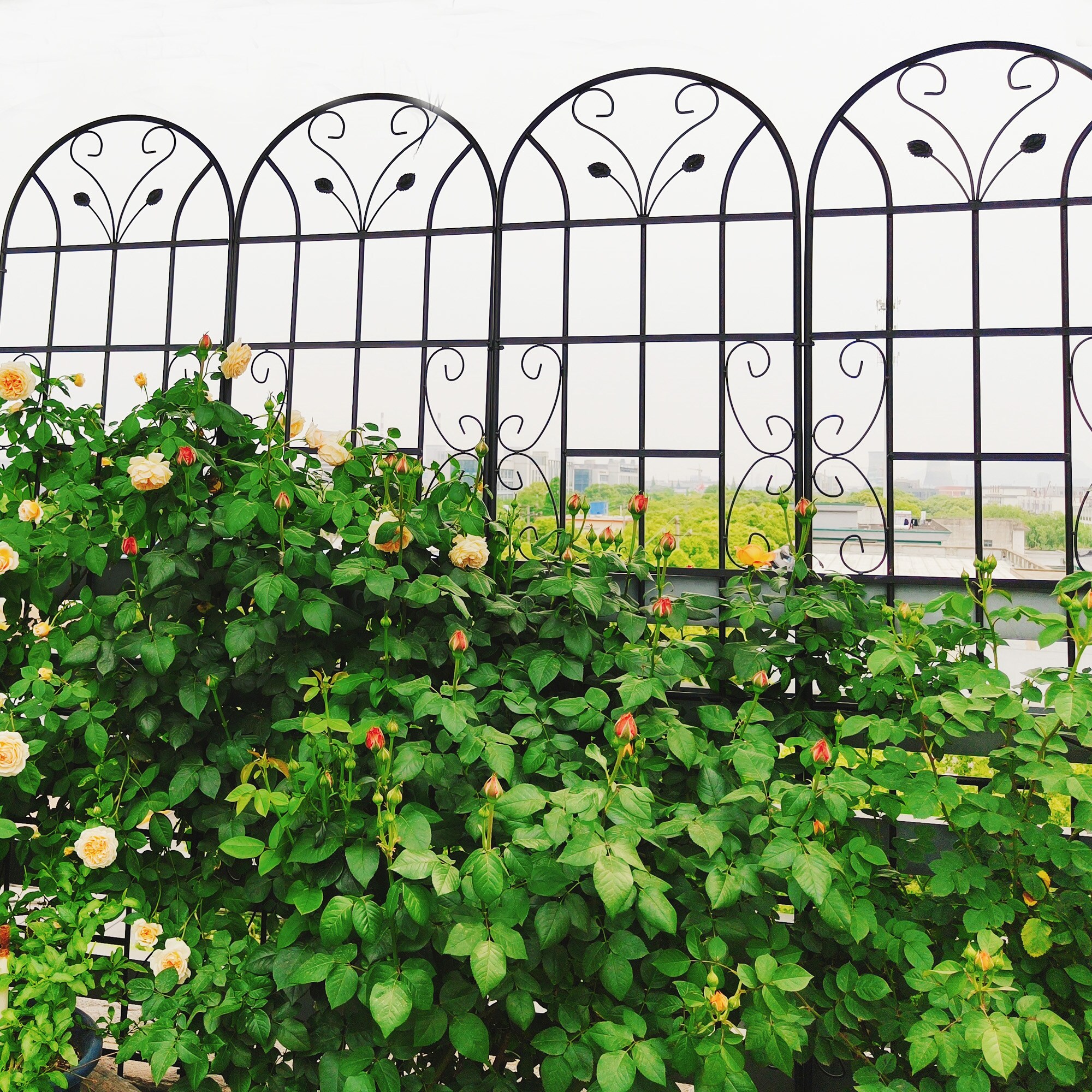 Tatayosi T6P268035 Garden-Utility-Fencing - View #9