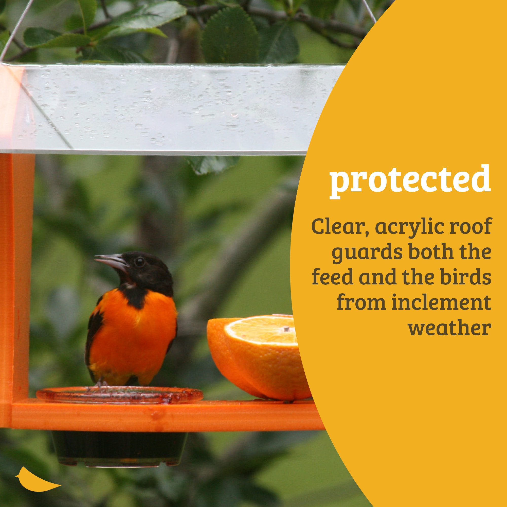 BIRDS CHOICE GSOF Bird-Feeders - View #11
