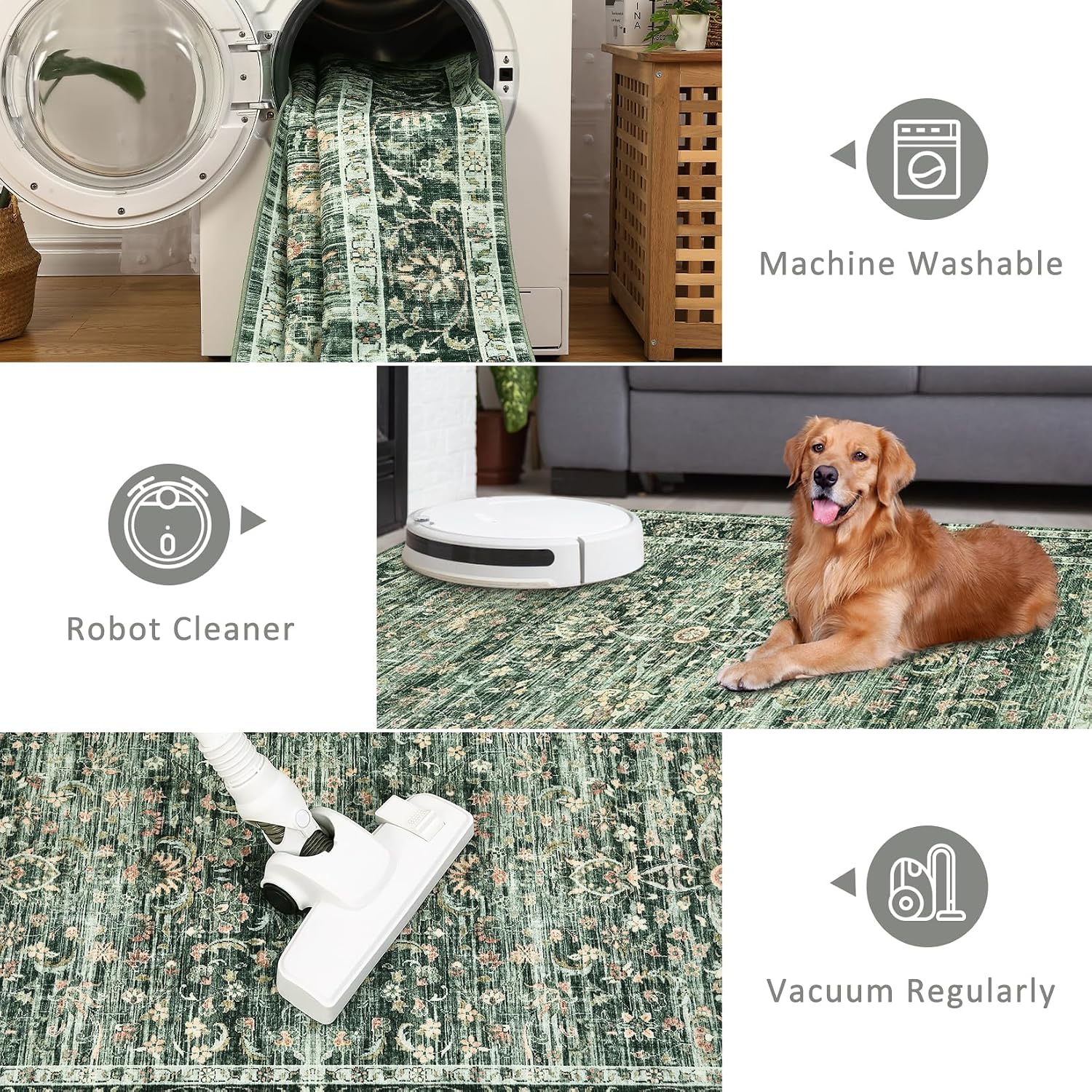 Assile XH26081947 rugs - View #6
