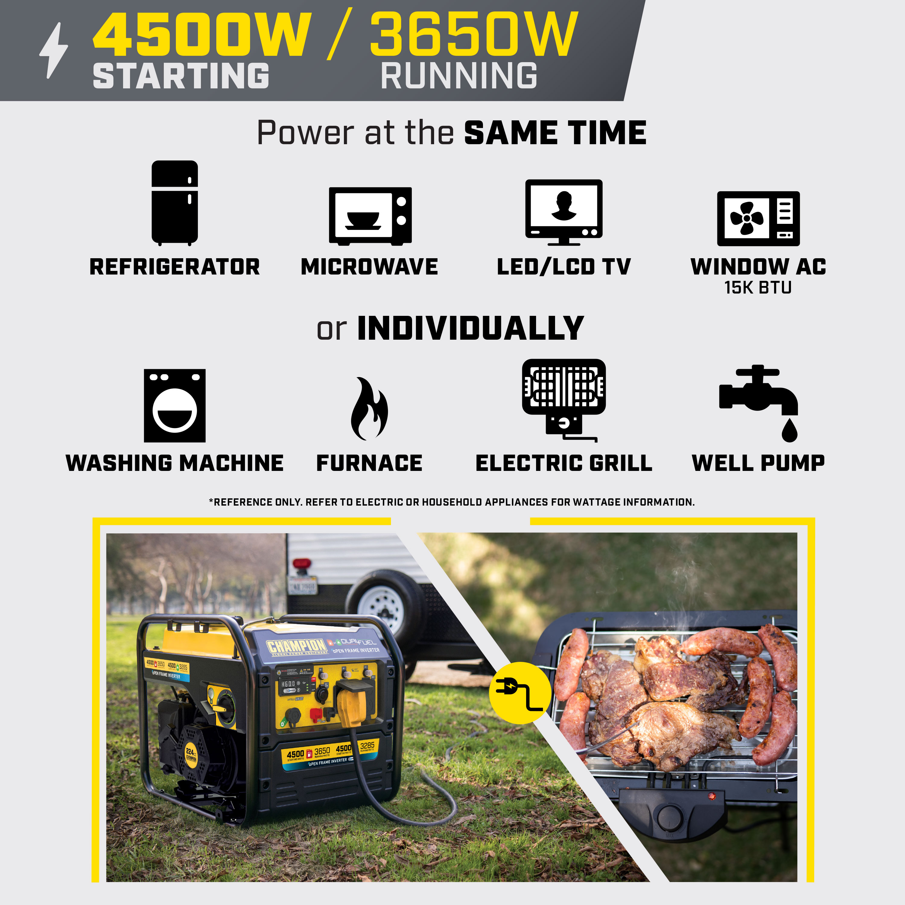 Champion Power Equipment 201321 Inverter-Generators - View #5