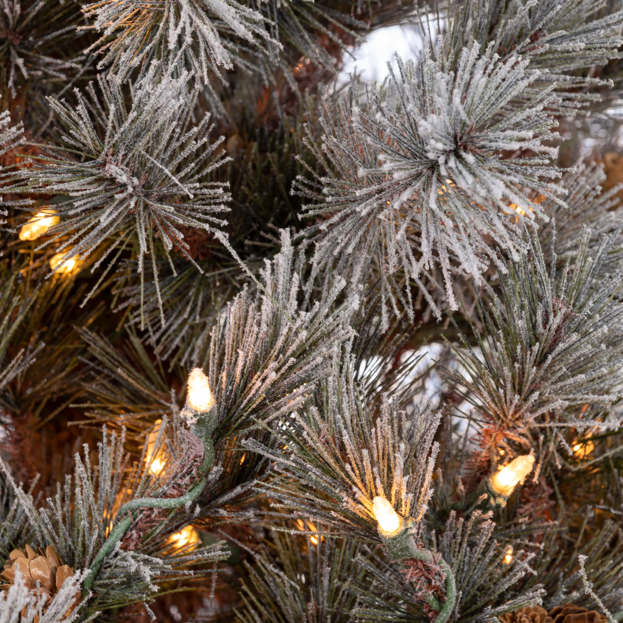 Scotch Pine 7.5' Pre-Lit Outdoor Christmas Tree with White Lights
