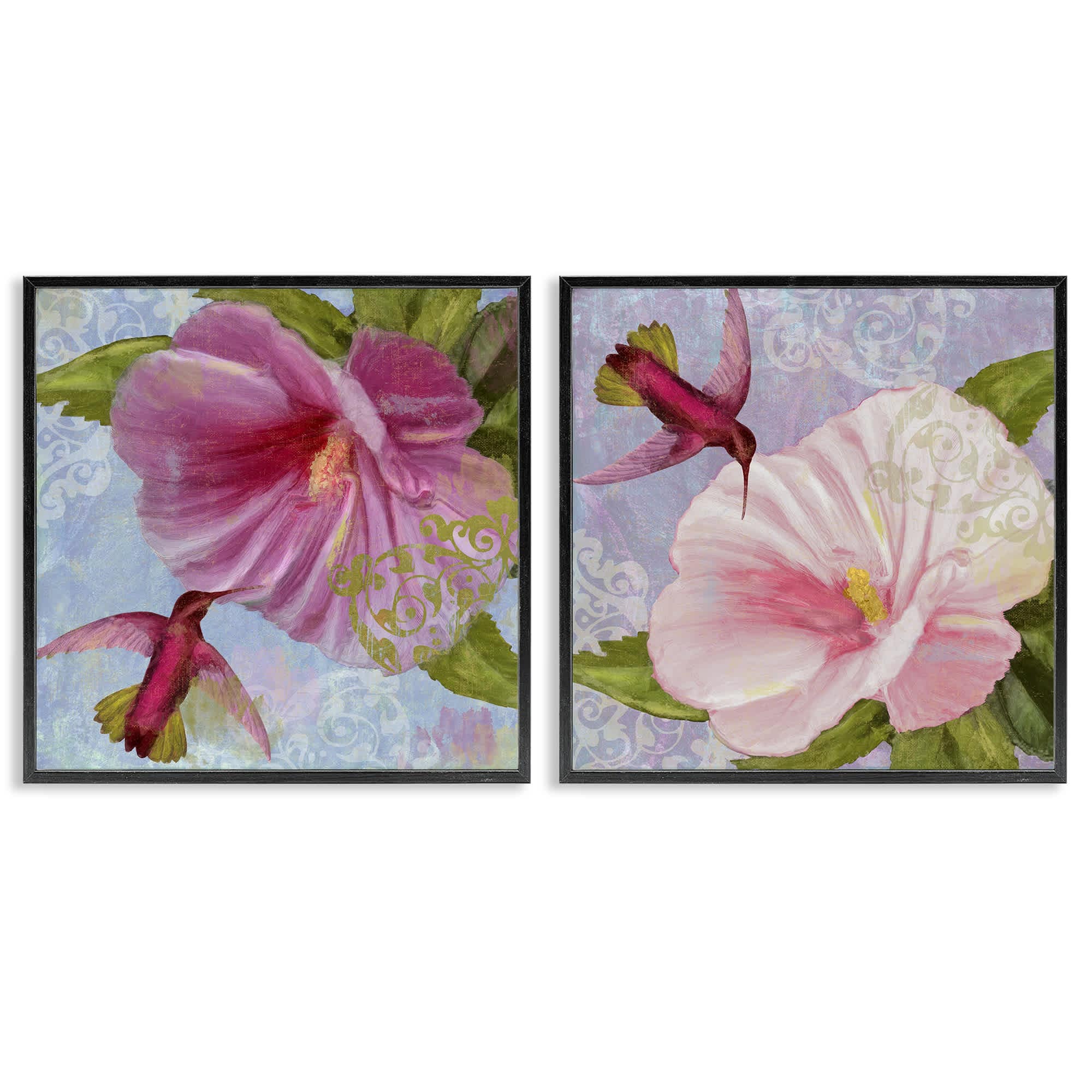Stupell Industries B2-810-FR-2PC-24X24 Hummingbirds and Poppy Bulbs 2 Piece Black Framed Giclee Art Set By Sasha 24 x 24