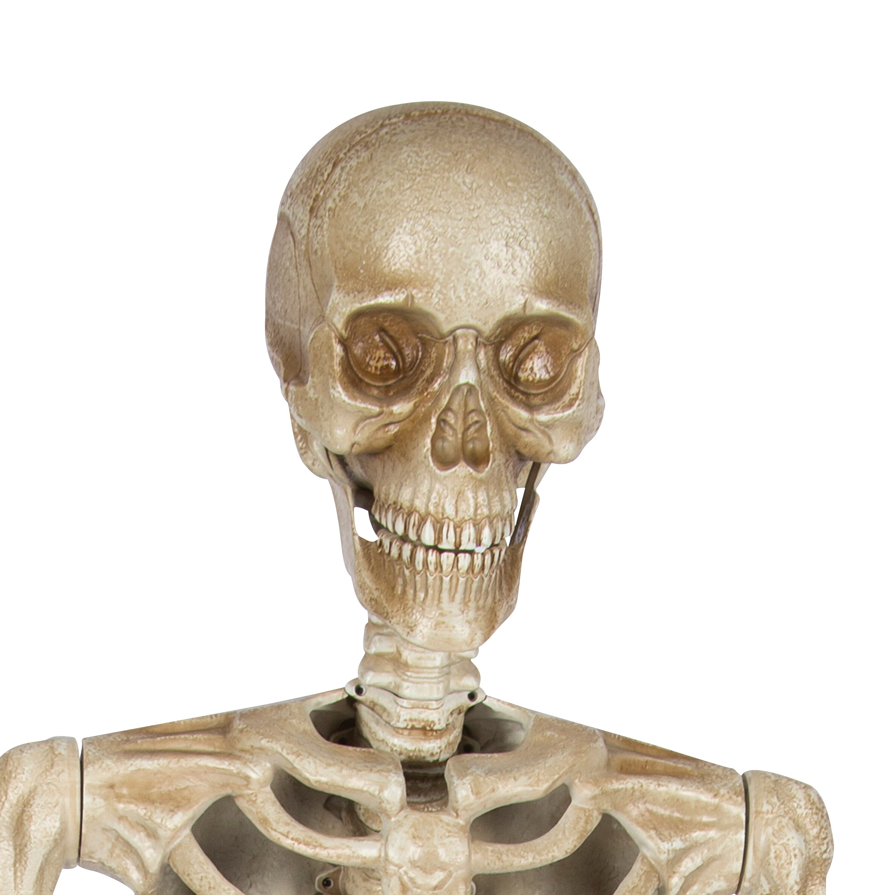 Haunted Living 556534 Outdoor-Halloween-Decor - View #3