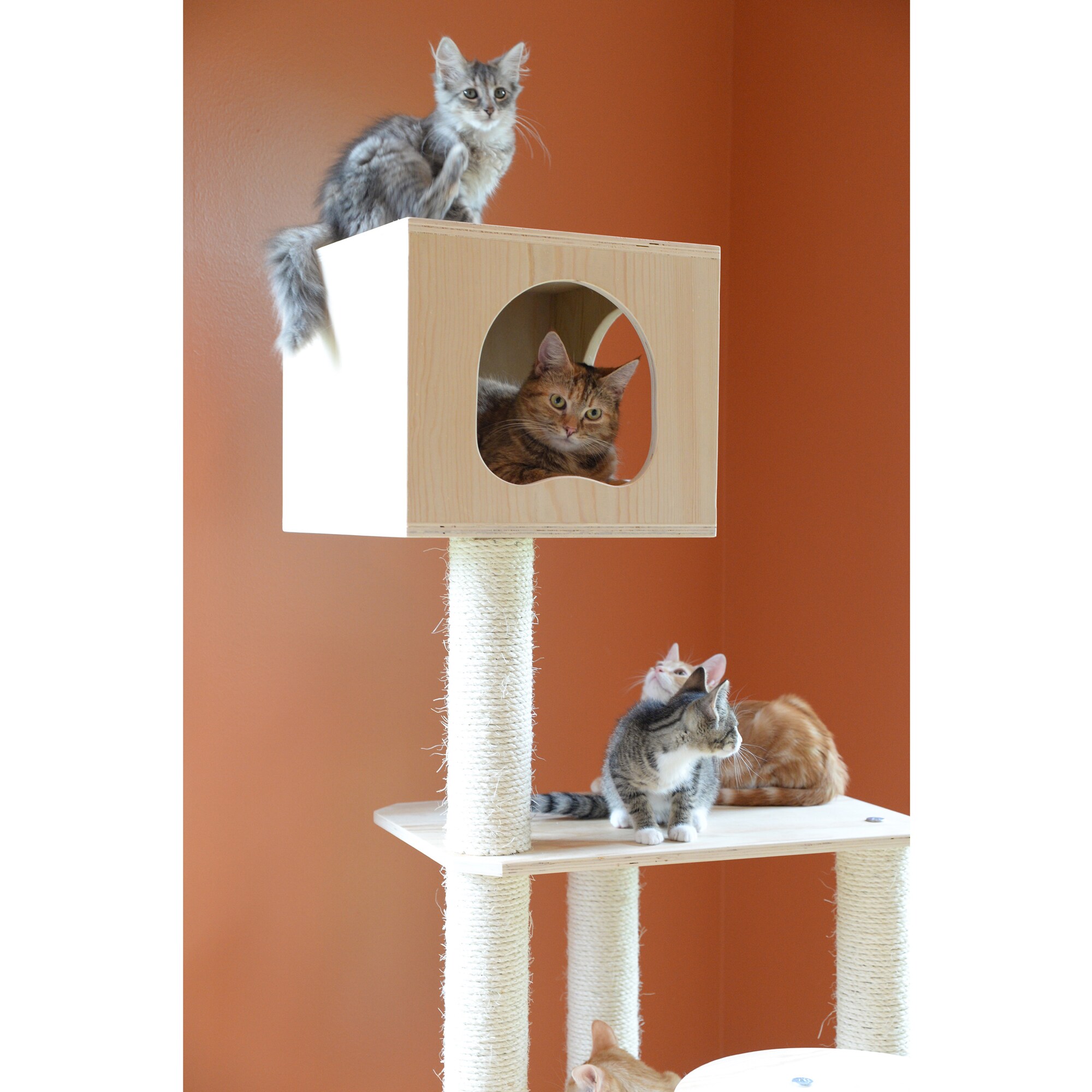 Armarkat Real Wood Cat Climbing Tree with Perches, Platforms, and Sisal