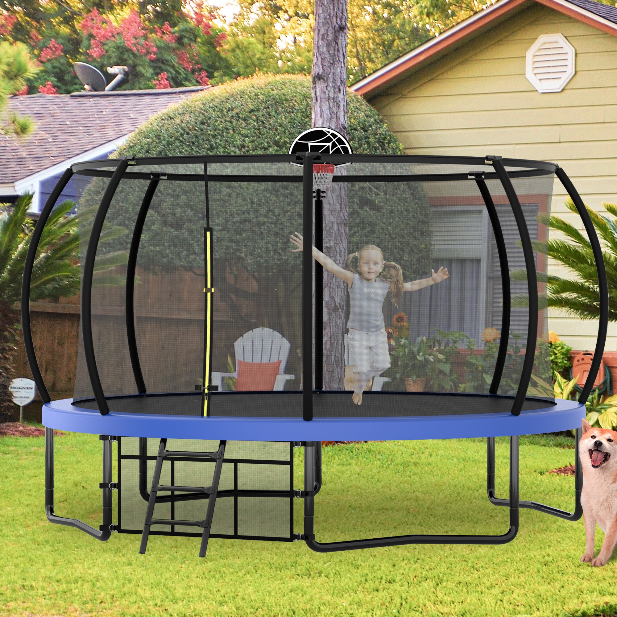 Sunrinx MG8-TP-7 trampolines - View #3
