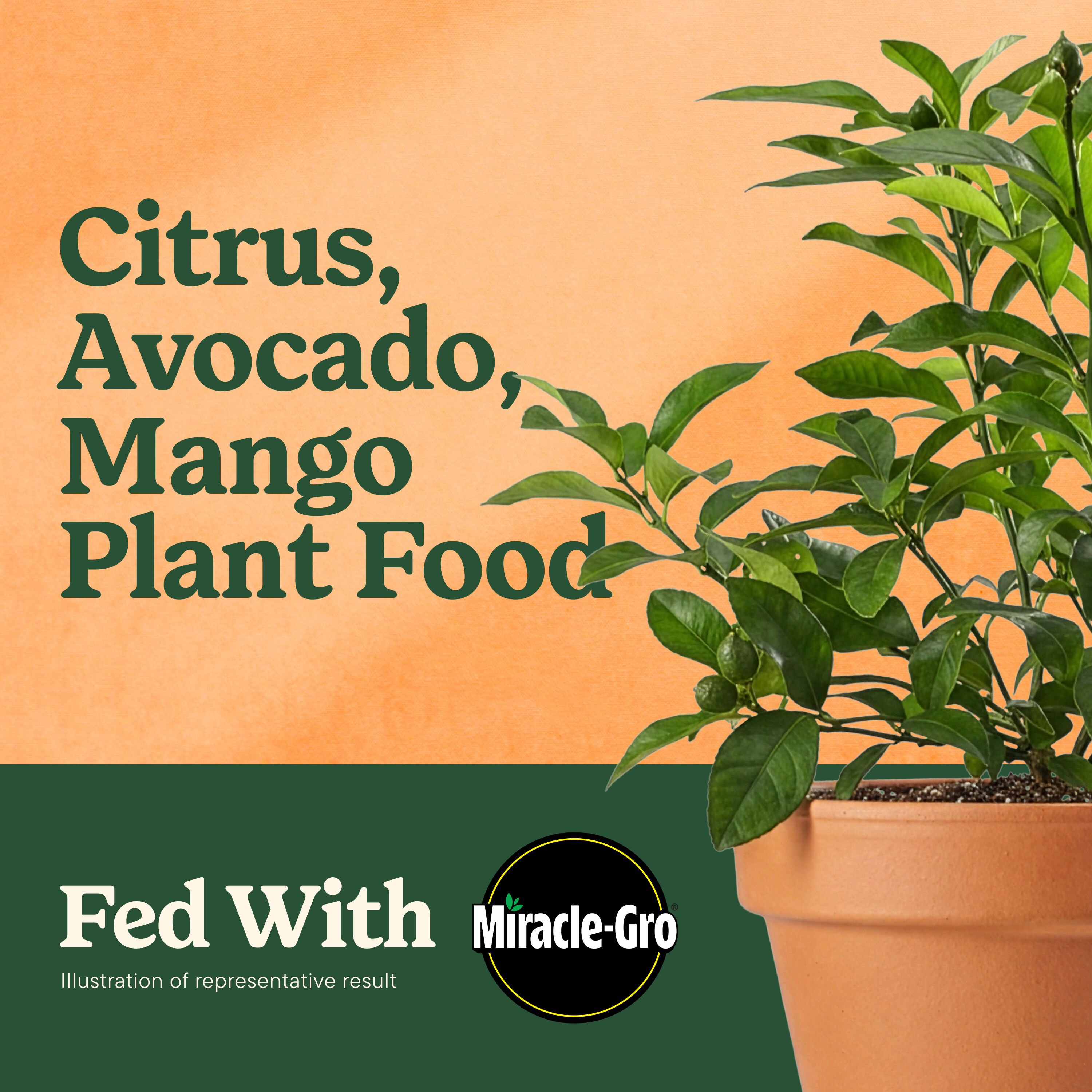 Miracle-Gro 1602310 Plant-Food - View #3