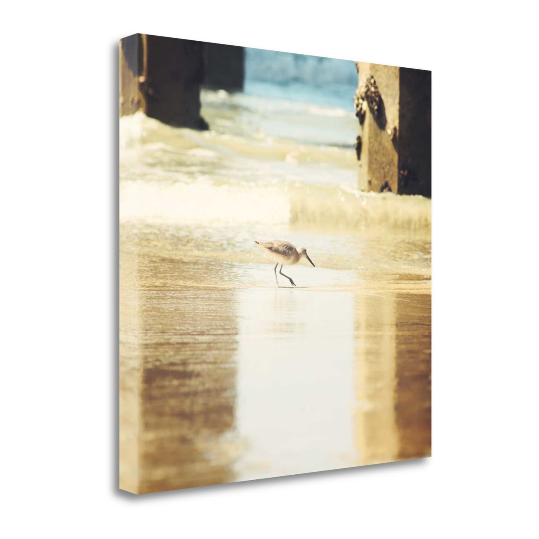 HomeRoots 4000439409 Wall Art Sylvia Coomes 35-Inches H x 35-Inches W Coastal Canvas Limited Edition Print