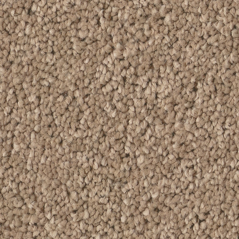 STAINMASTER PetProtect 7L97200700 with LeakDefense Happy Howling III Canoe Brown 82.9-oz sq yard High-performance polyester Textured Indoor Carpet