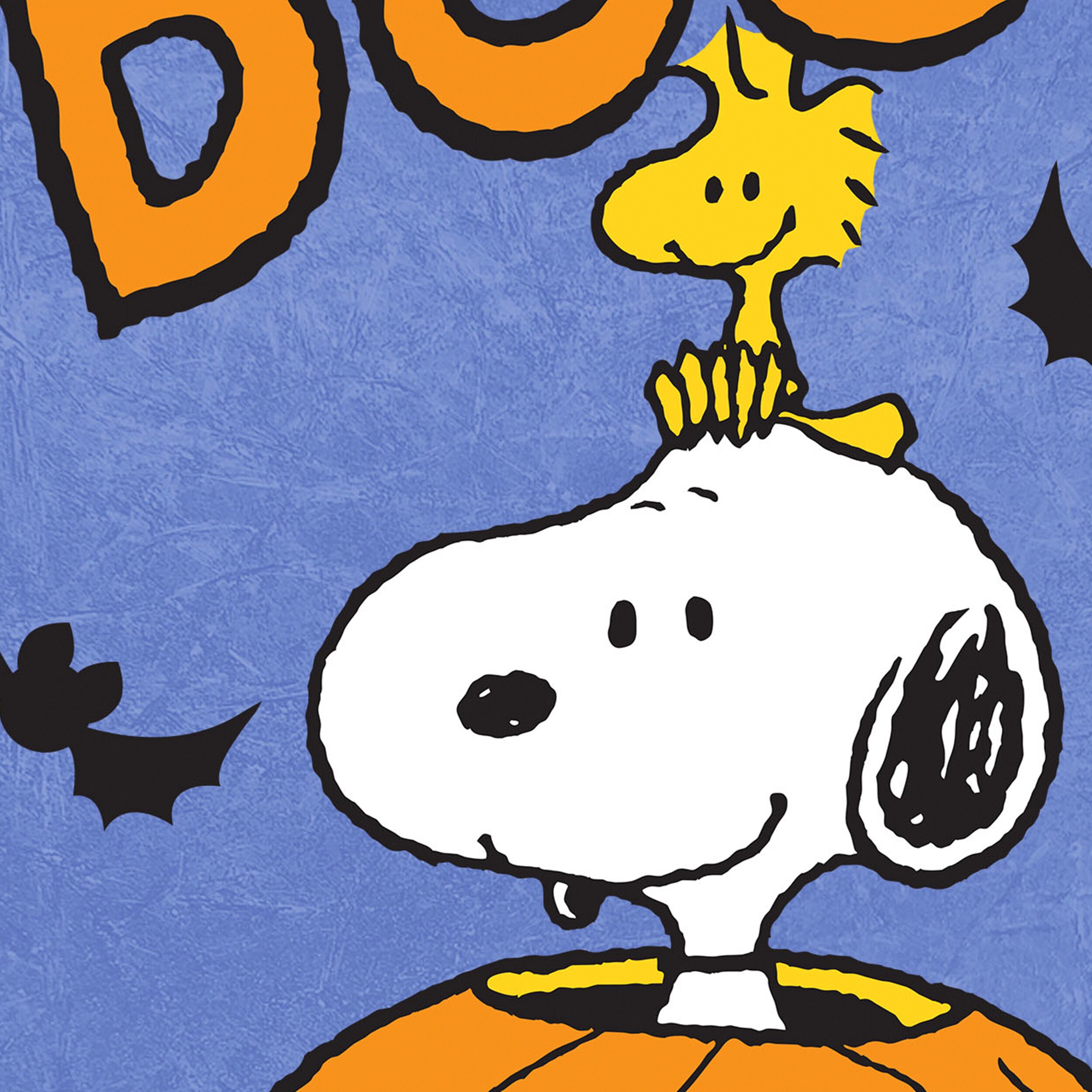 Peanuts 10-1241-51F-01 Decorative-Banner-Flags - View #4