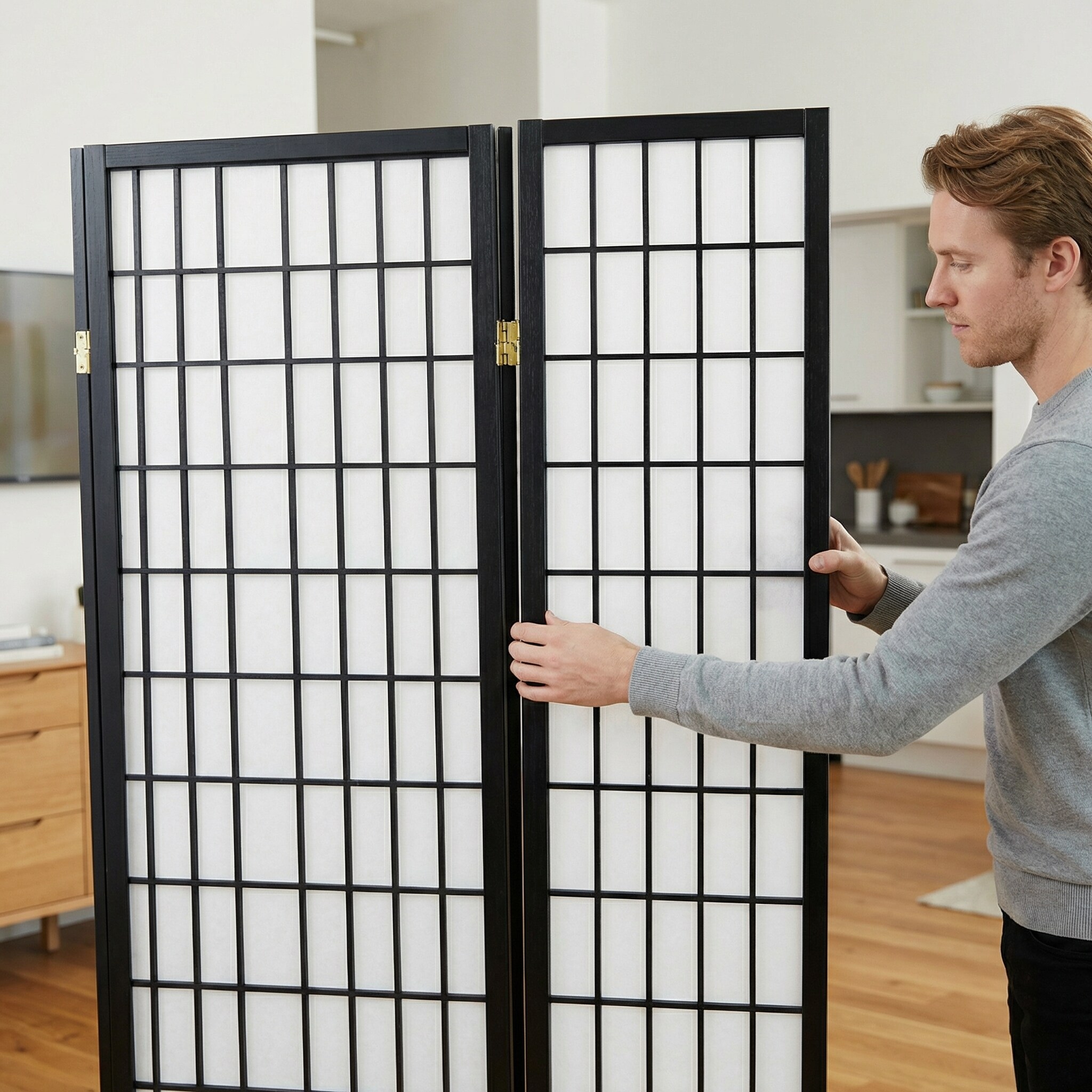 CESICIA SRZY-27 Indoor-Privacy-Screens - View #8