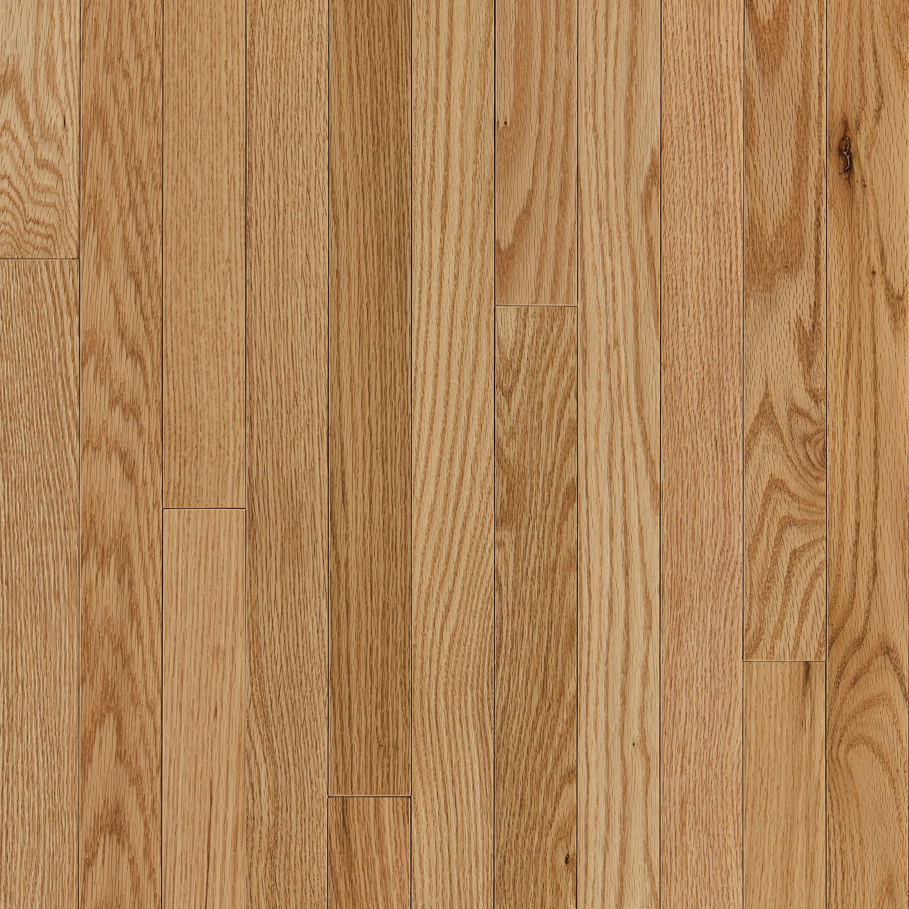 Bruce American Originals Natural Red Oak T X 2-1/4 W X Varying L Solid  Hardwood Flooring (20 SHD2210 The Home Depot, Country White Stain On Red  Oak