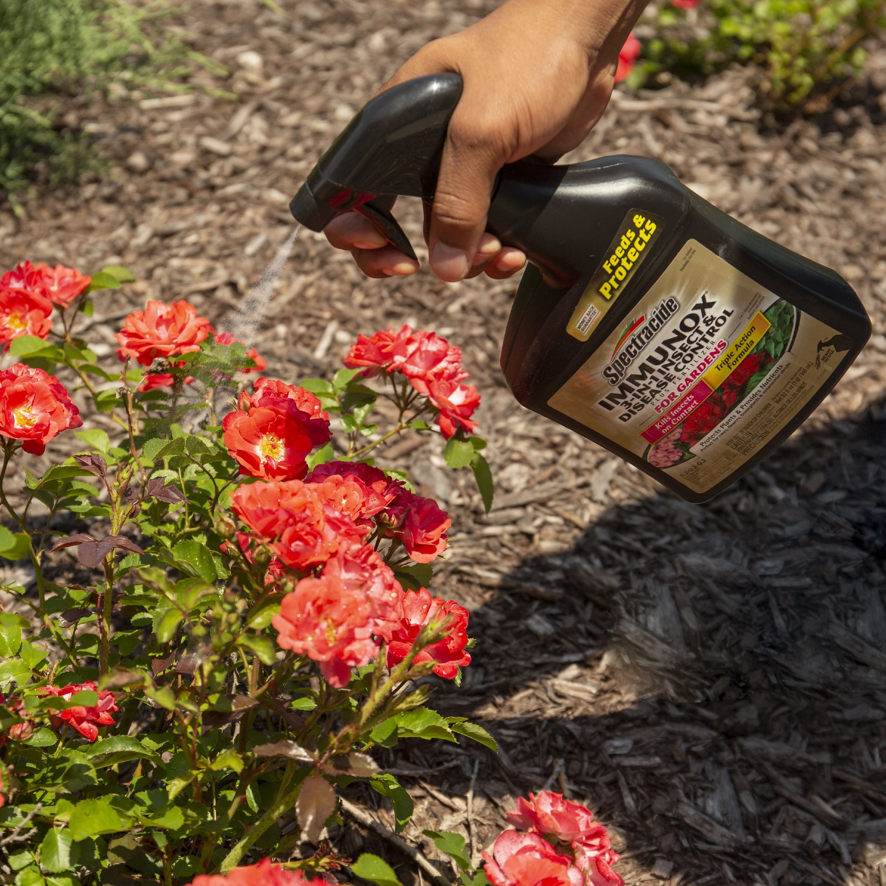 Spectracide HG-96434 pesticides - View #4
