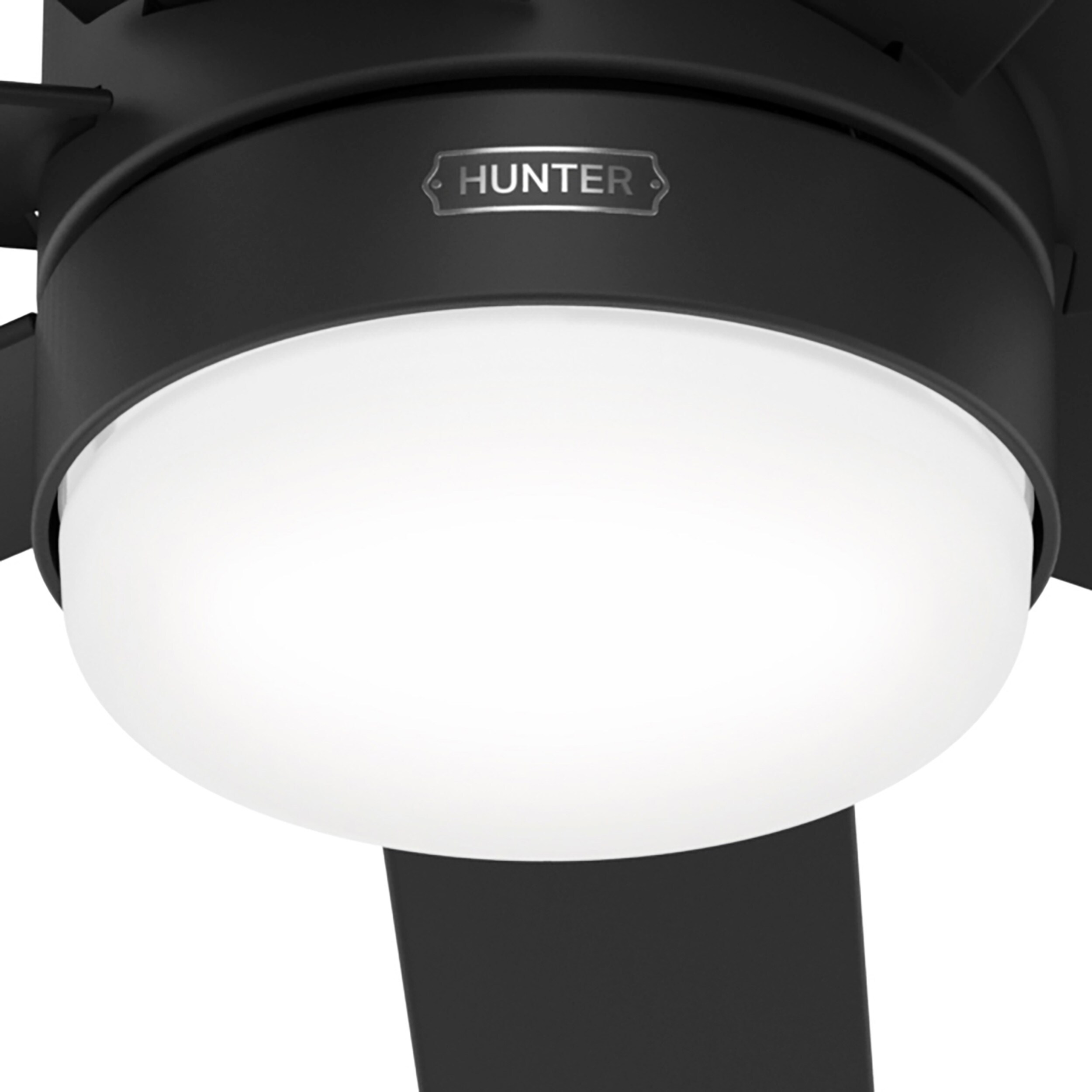 Hunter 51535 Ceiling-Fans - View #9