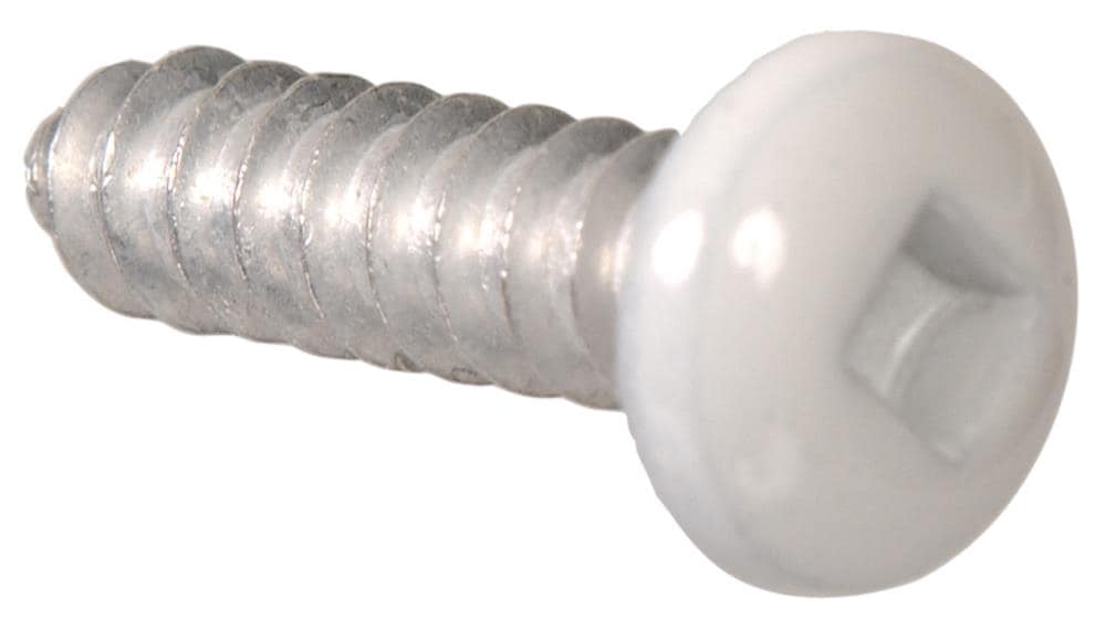Hillman #10 x 3/4-in Square-Drive Sheet Metal Screws in the Specialty  Screws department at