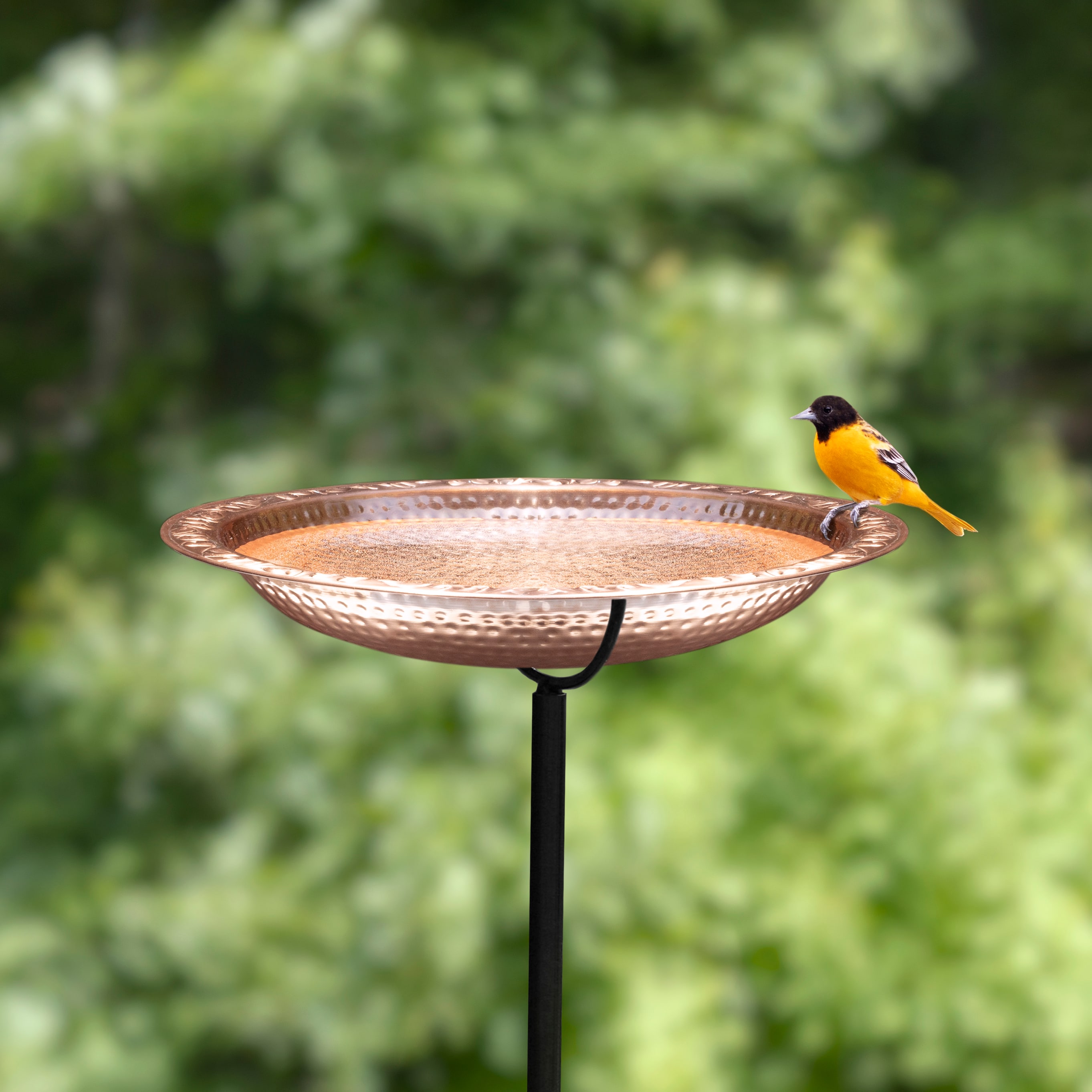 Good Directions BBG18 birdbaths - View #4
