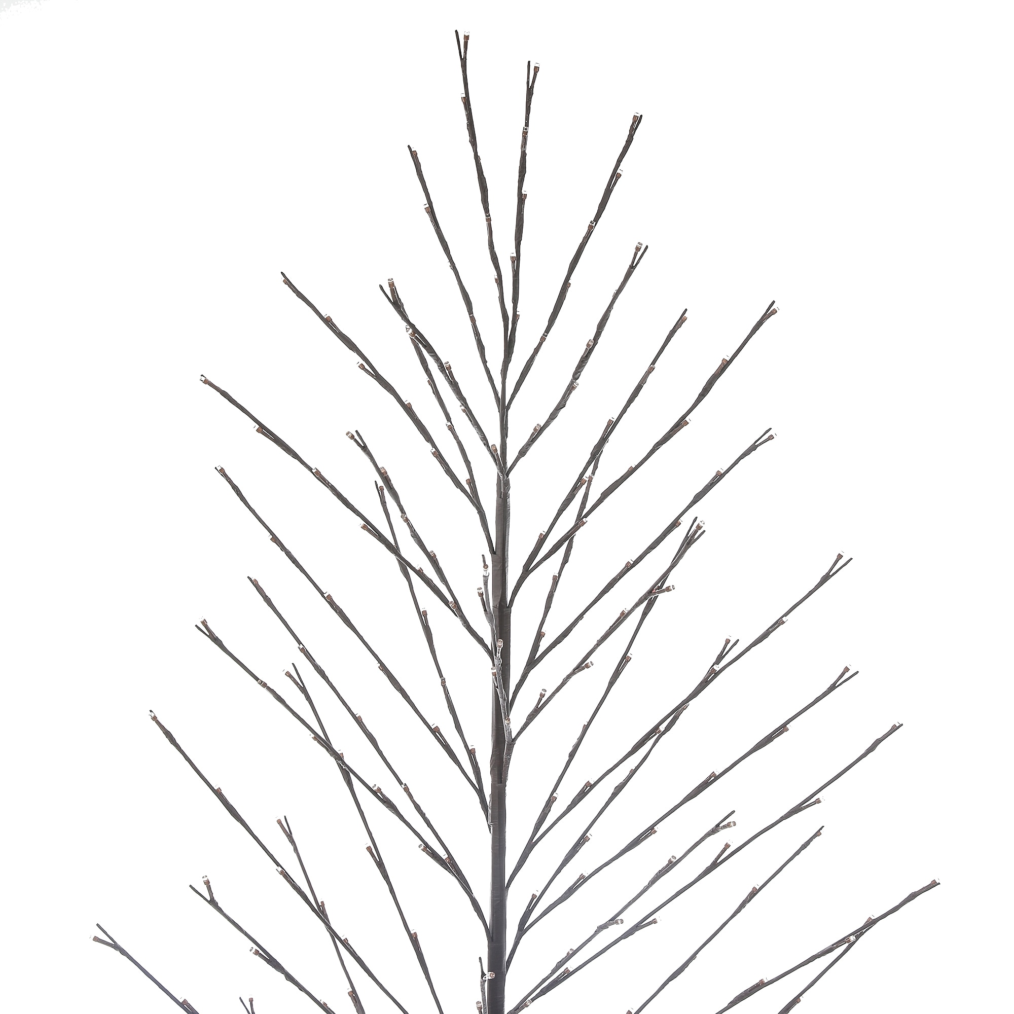 philips twig tree