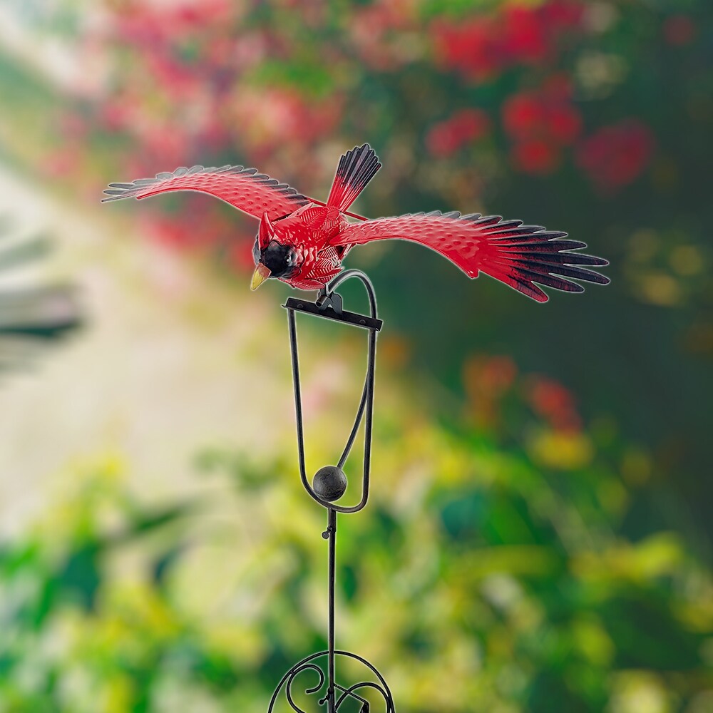 Redbird Terrarium Kit - Green Room Garden Art