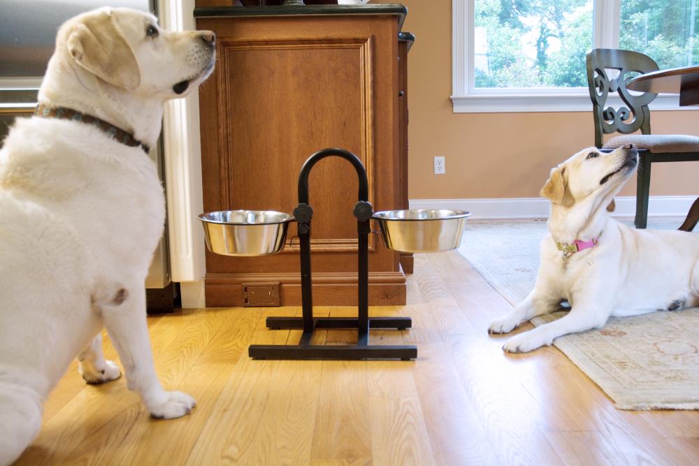 Iconic Pet 92184 Pet-Feeder - View #4