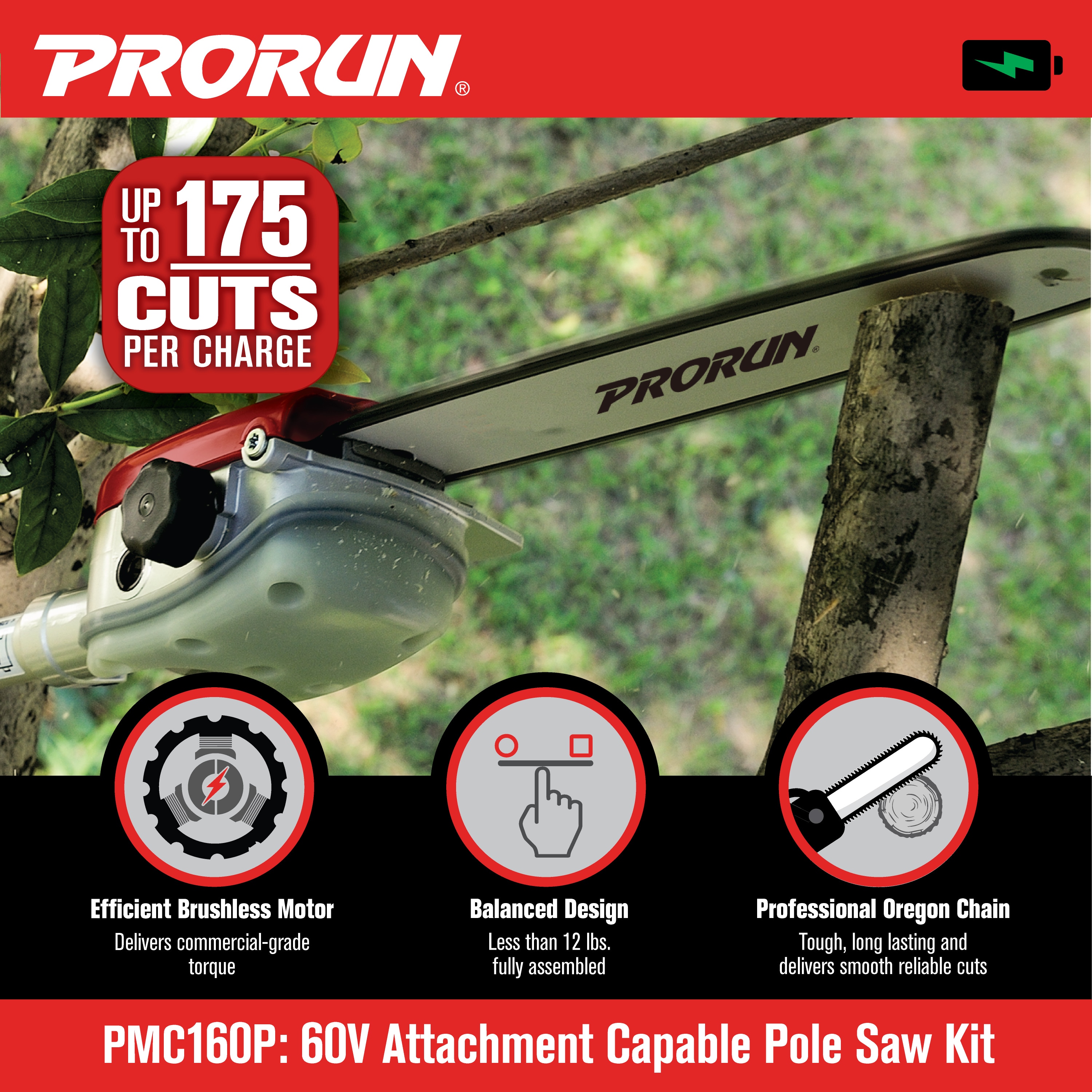 PRORUN PMC160P Cordless-Pole-Saw - View #4