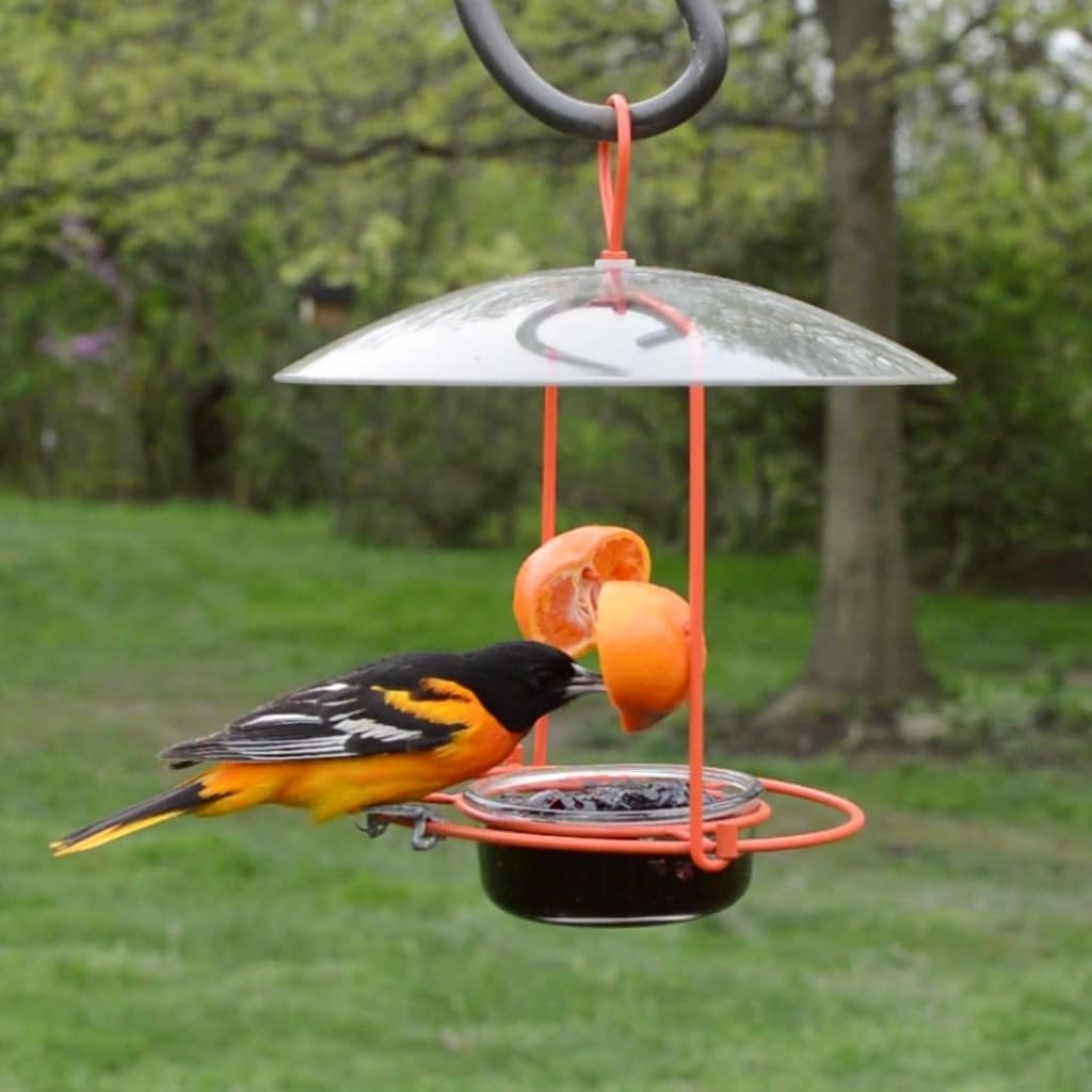 Nature's Way OFM1-CP1 Bird-Feeders - View #3