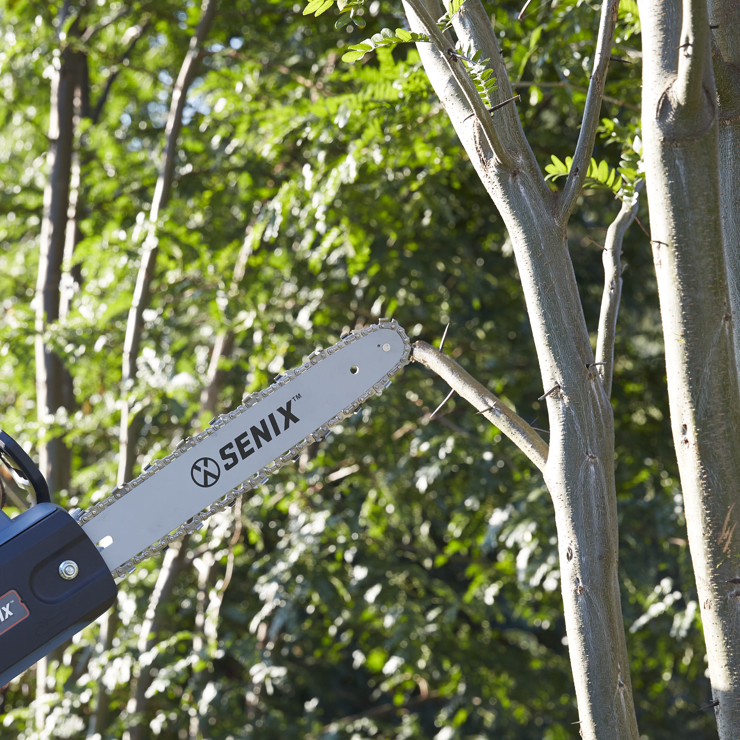 SENIX CSE10-L Cordless-Chainsaw - View #4