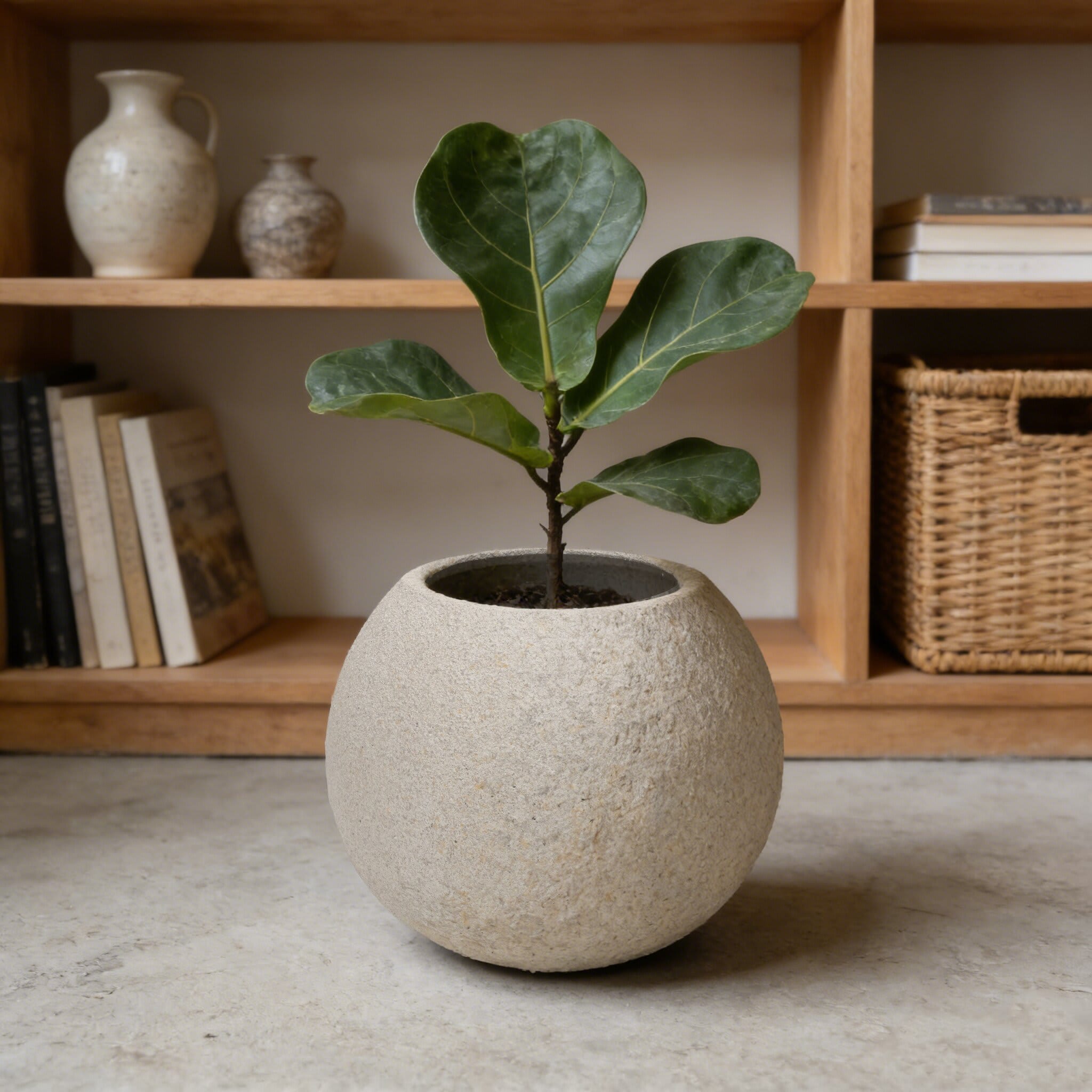 Vynxaria LEXY4495DJHWHYP045 Planter-Window-Box - View #3
