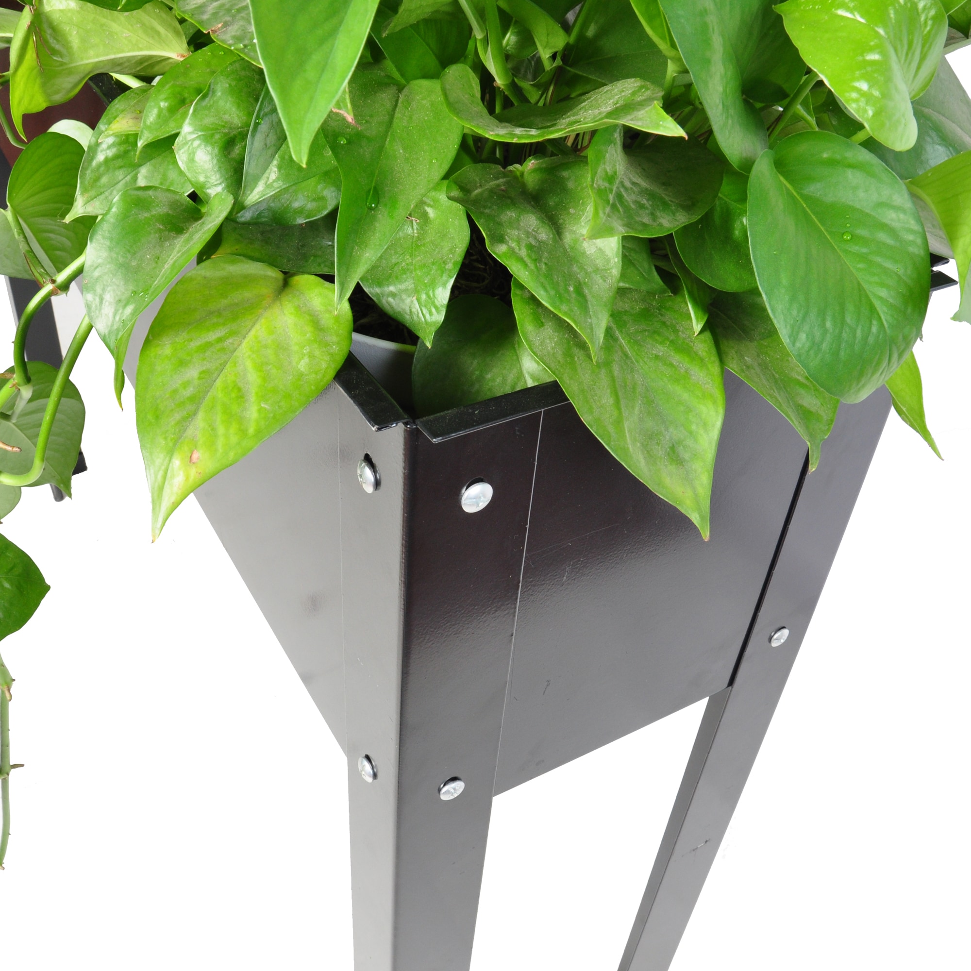 Gaierptone CRX9GUGOKGU Raised-Planter-Boxes - View #6
