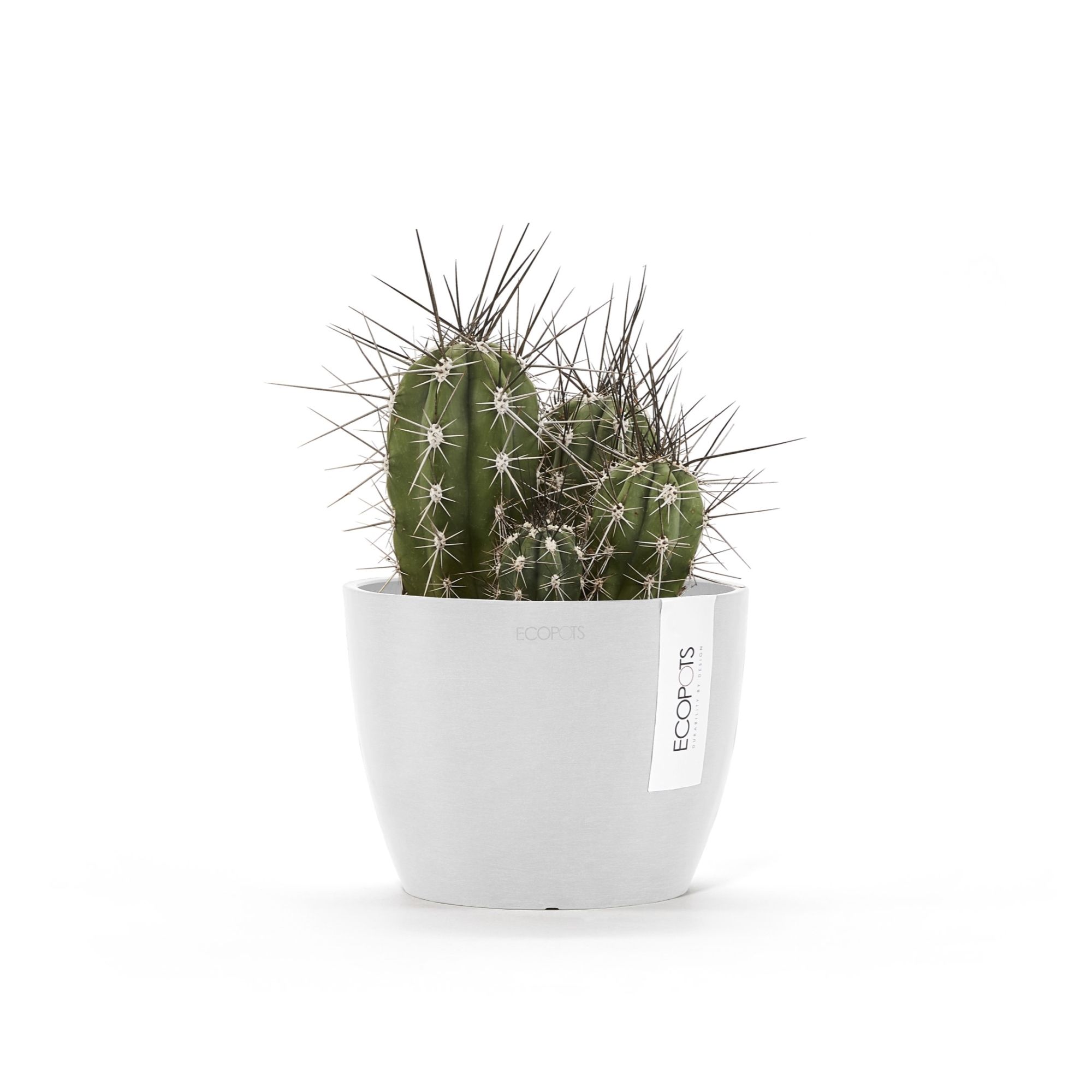 ECOPOTS STH.16.PW Planter-Window-Box - View #5