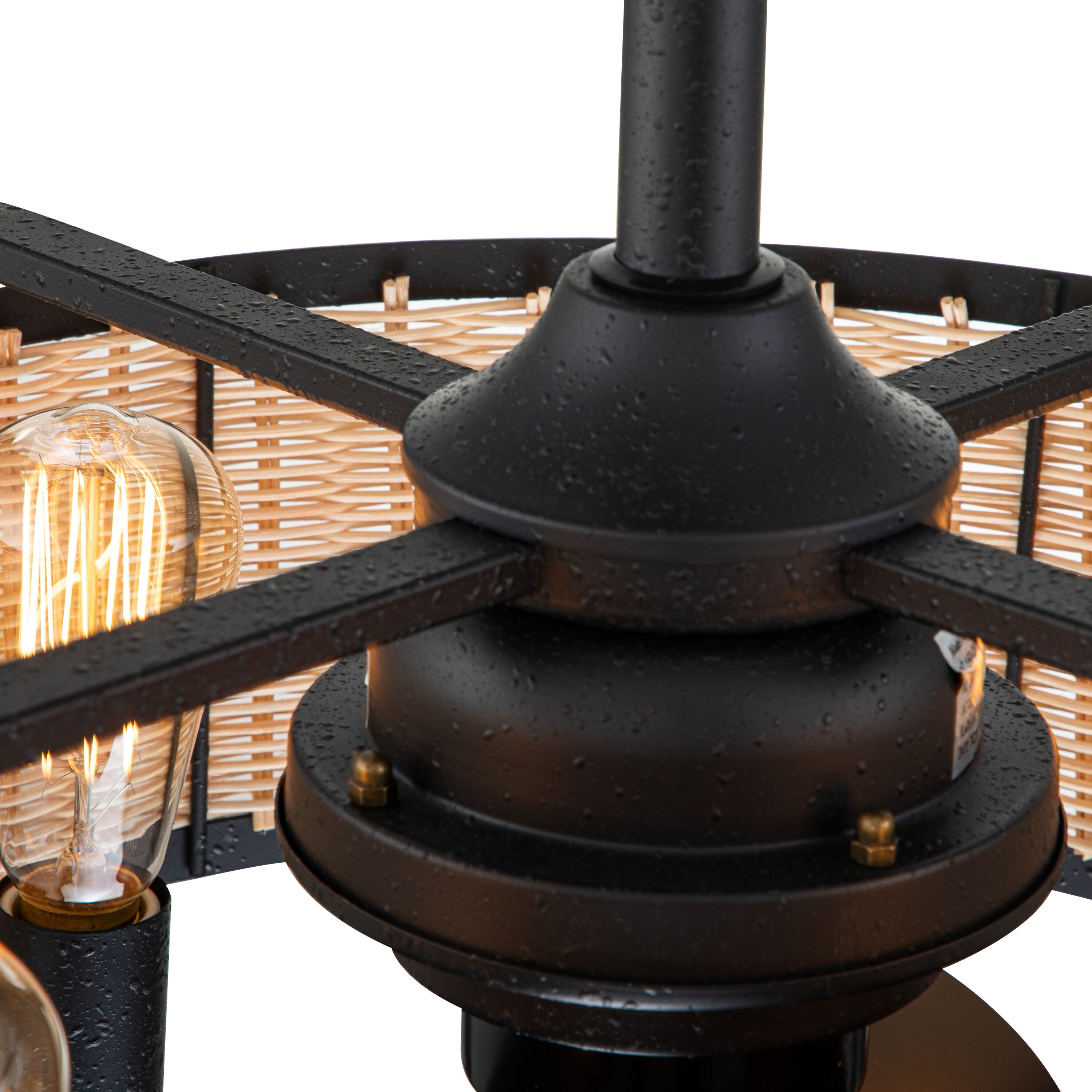 C Cattleya CA2236-CF Ceiling-Fans - View #6
