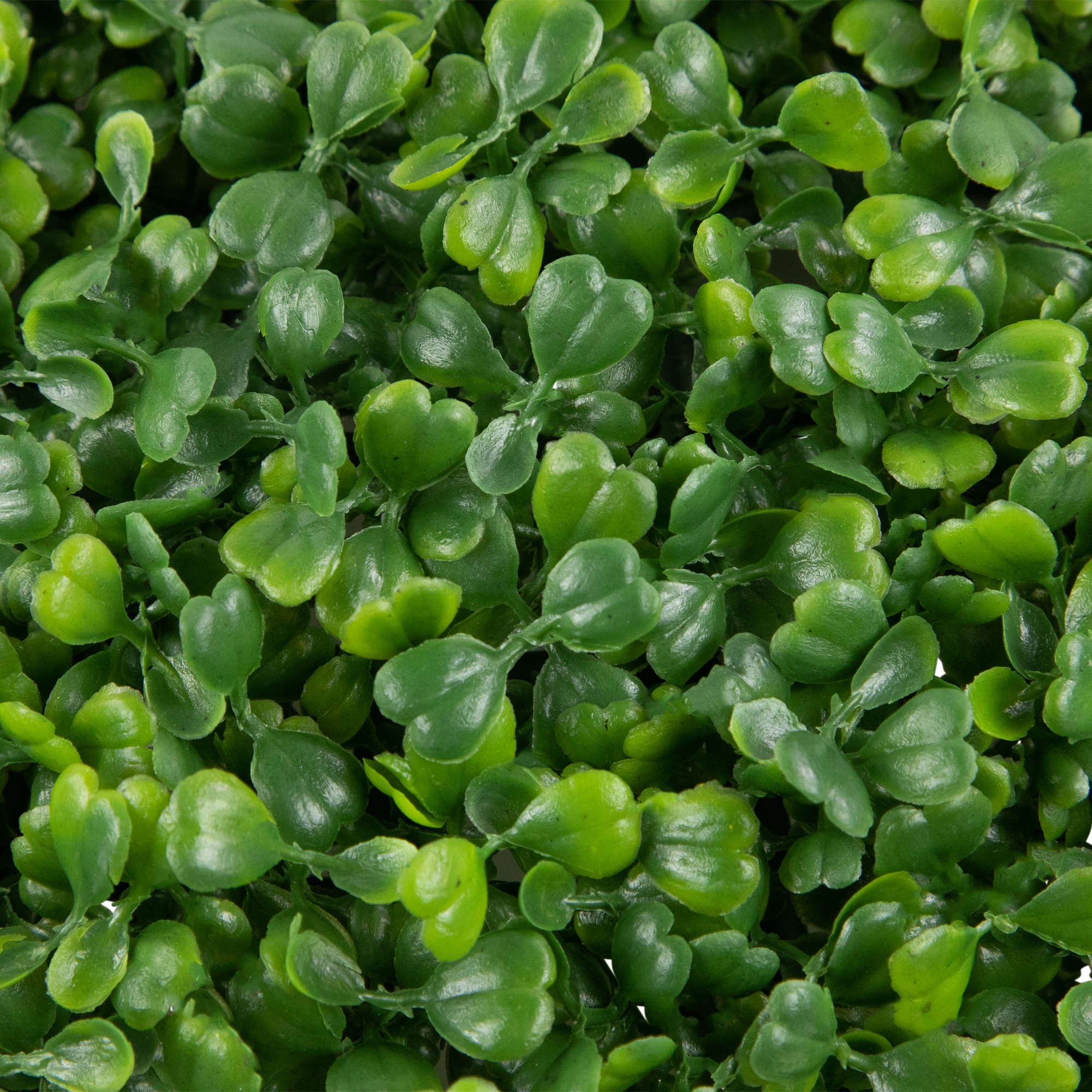 Northlight 32036482 Artificial-Plants-Trees - View #4