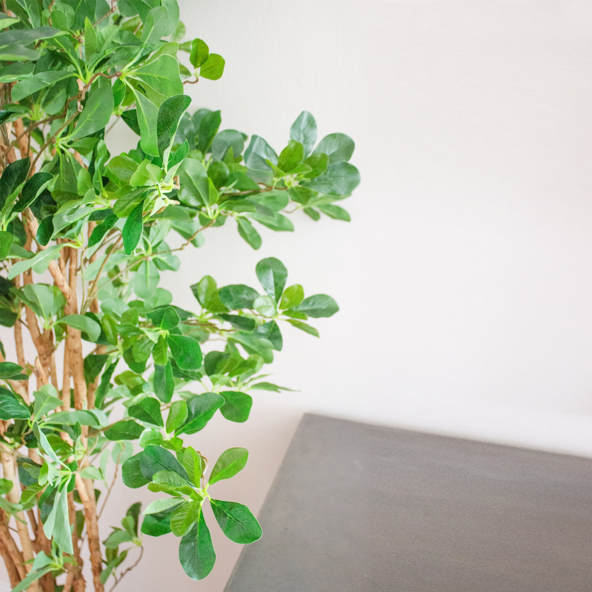 Nearly Natural 5463 Artificial-Plants-Trees - View #5