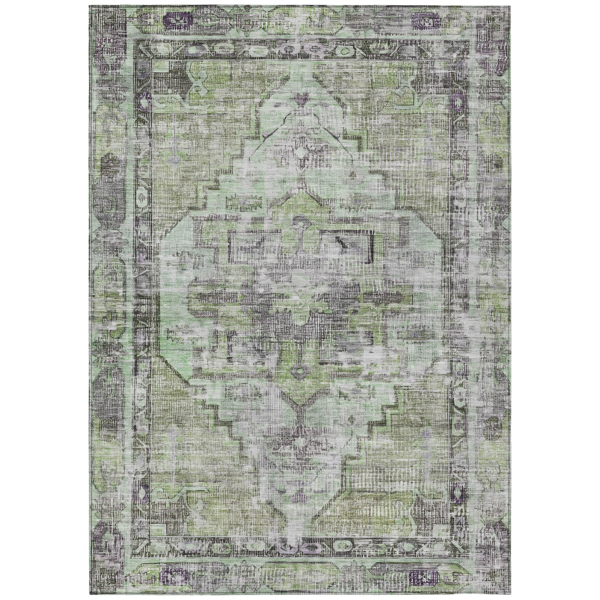 Addison Rugs ACN1729AL30X46 rugs - View #2