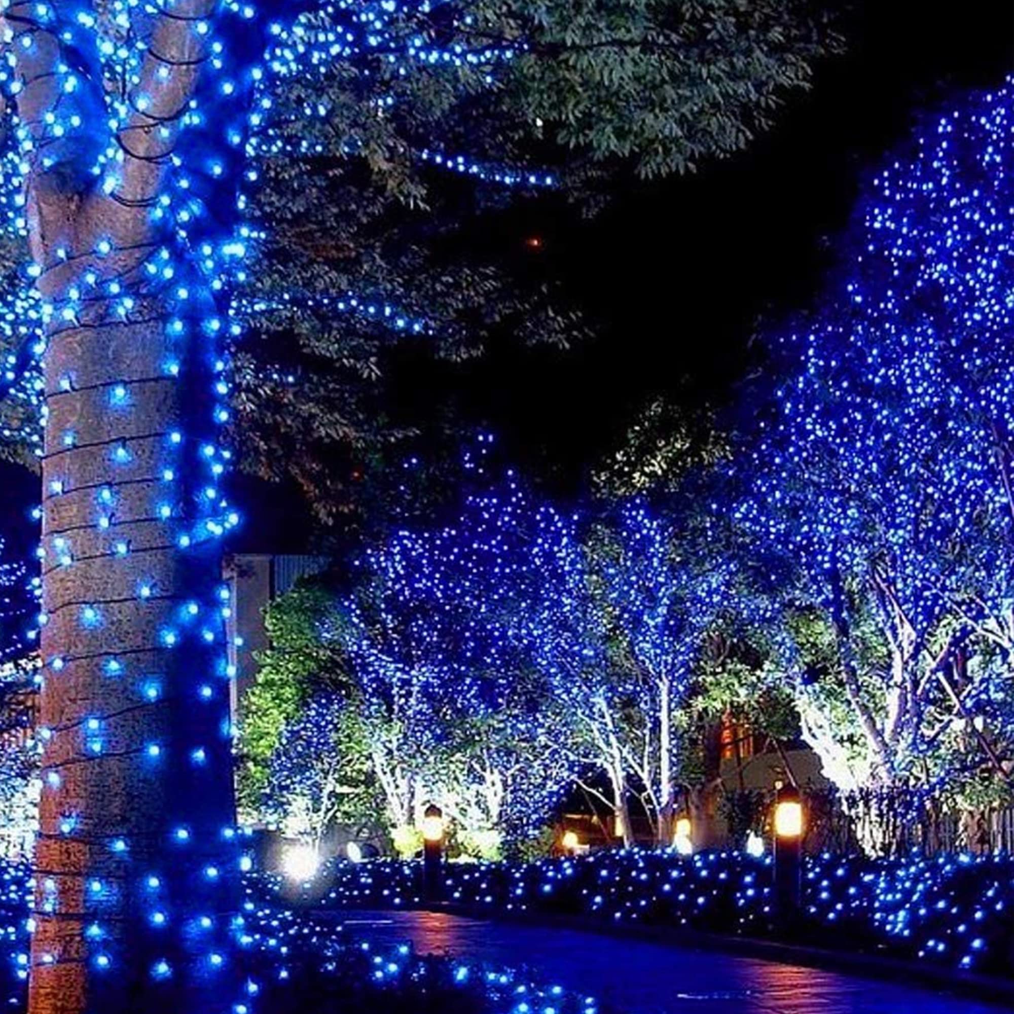 Twinkle Star 33FT 150 Incandescent Mini String Lights; UL Certified — free download