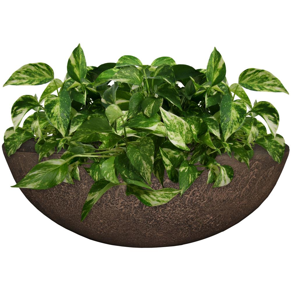 Sunnydaze Decor DG-868 Round 9.5-in W Medium Brown Resin Indoor/Outdoor Planter with Drainage Holes